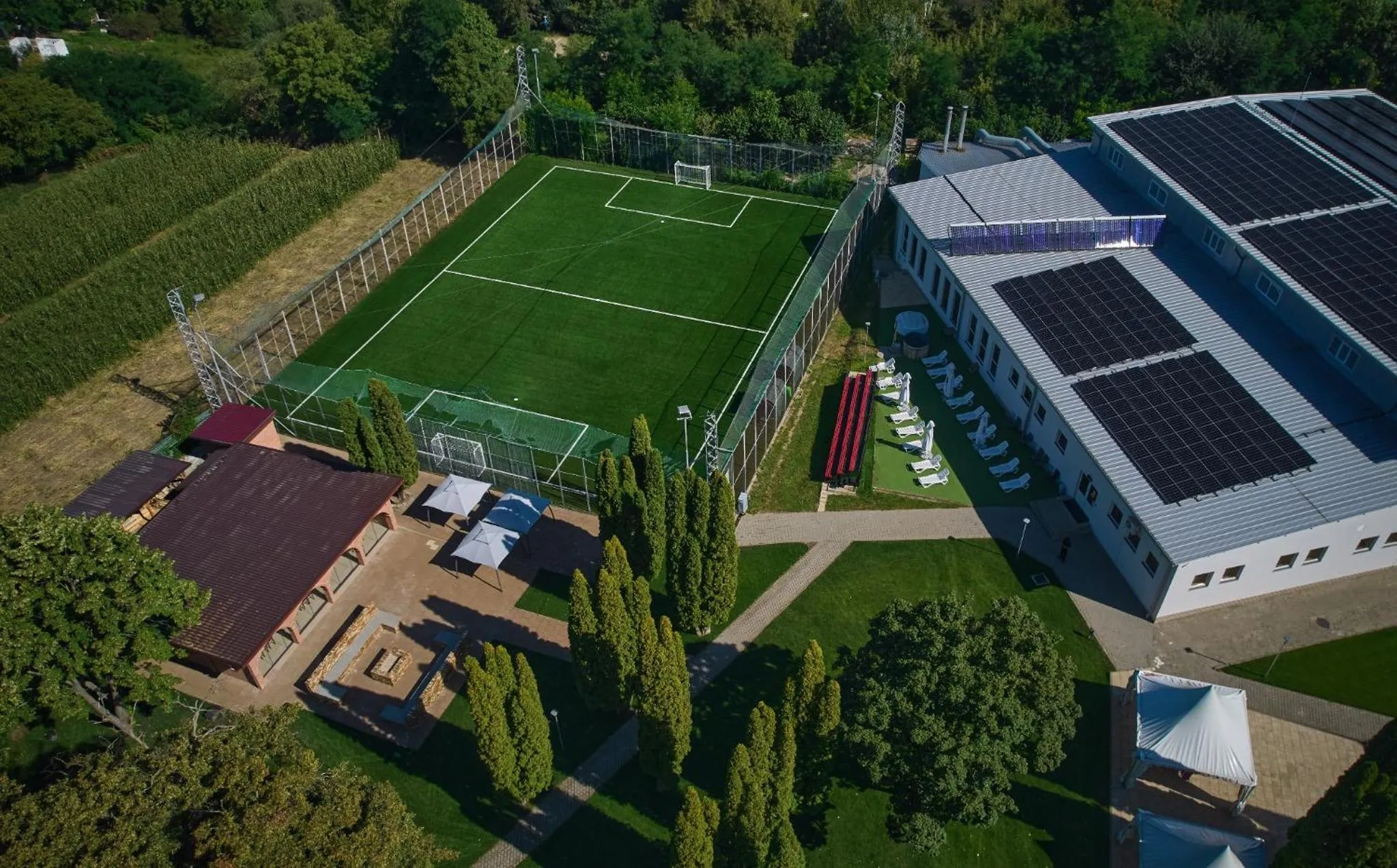 Garden in Conacul Domnesc