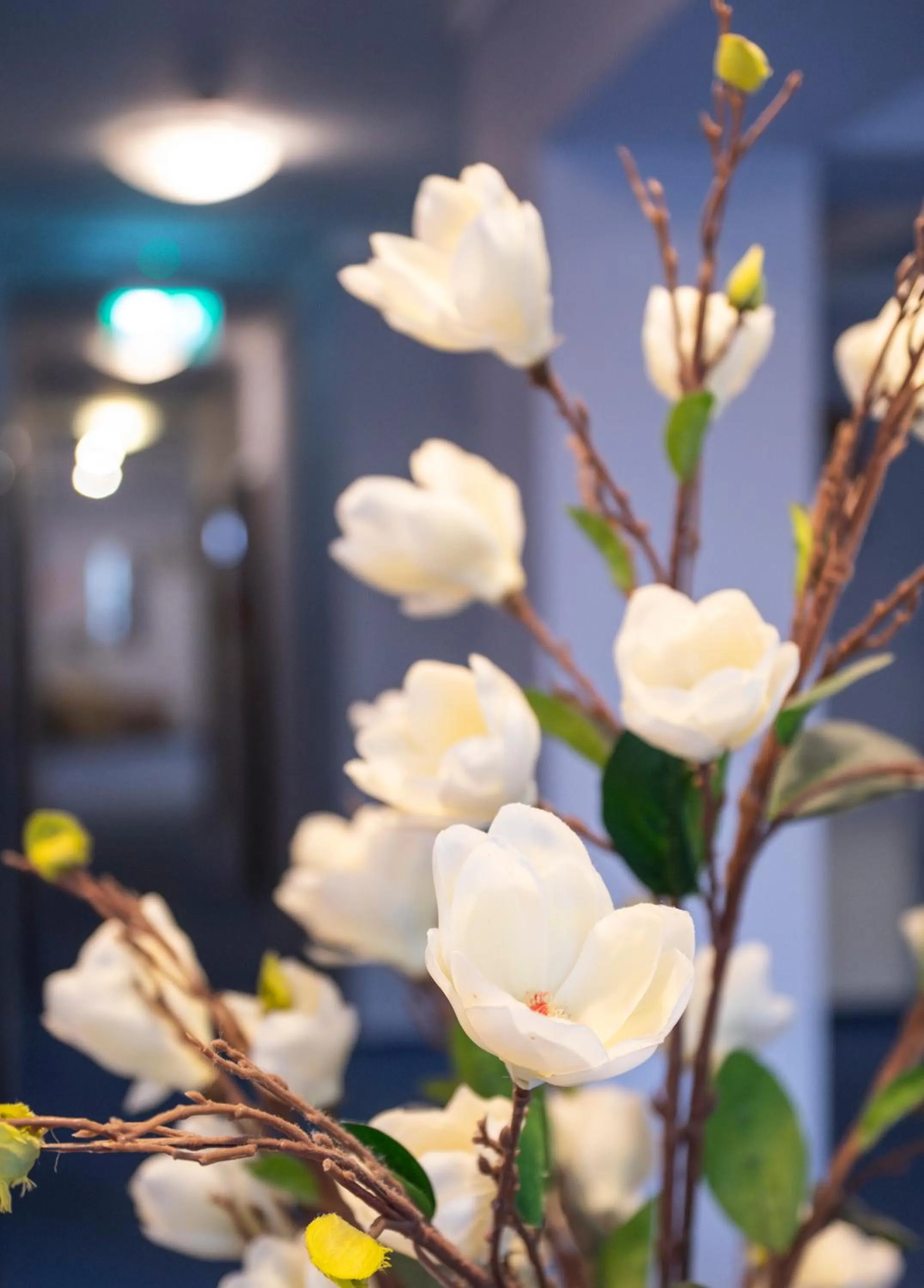 Property building in Conacul Domnesc