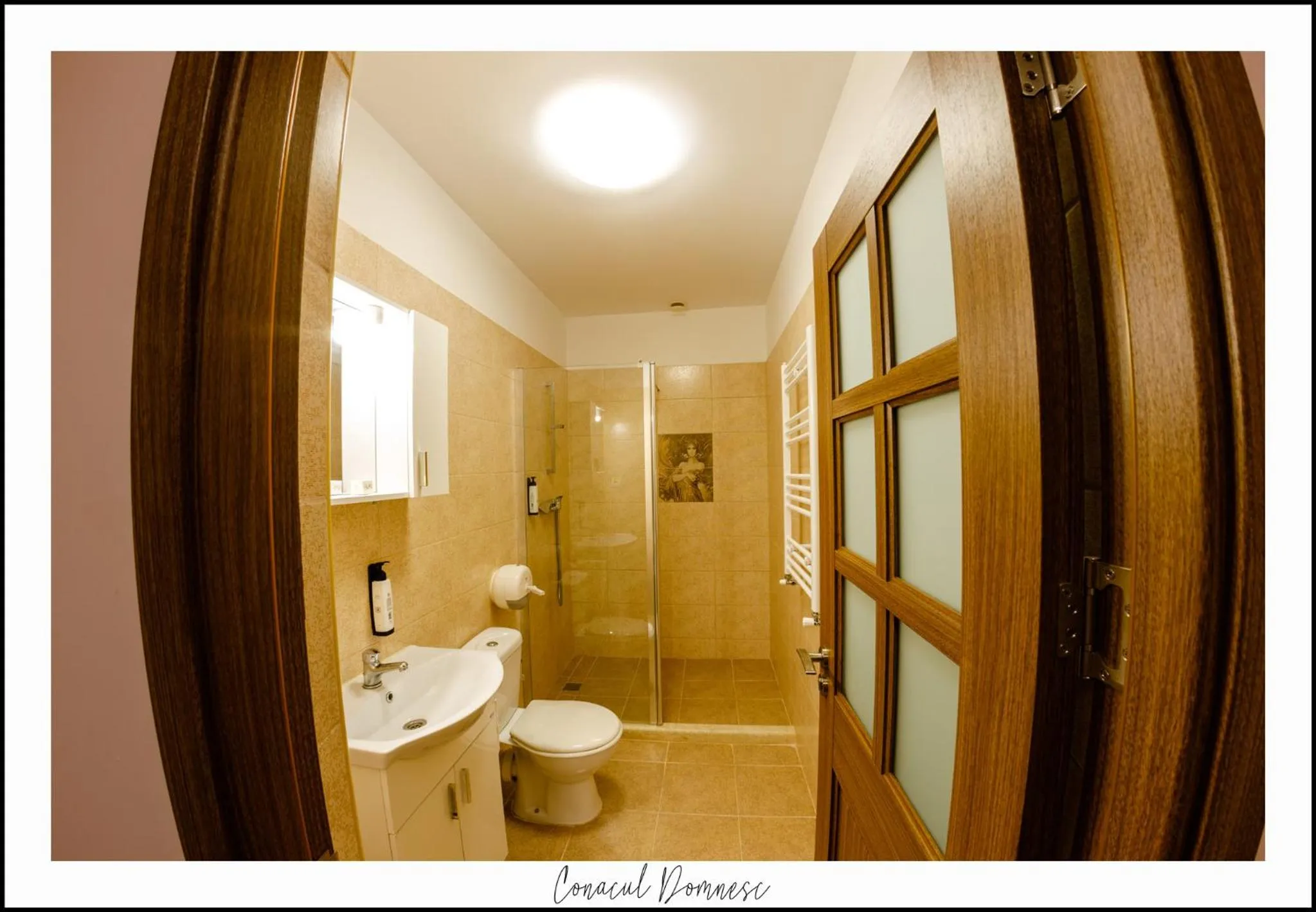 Bathroom in Conacul Domnesc