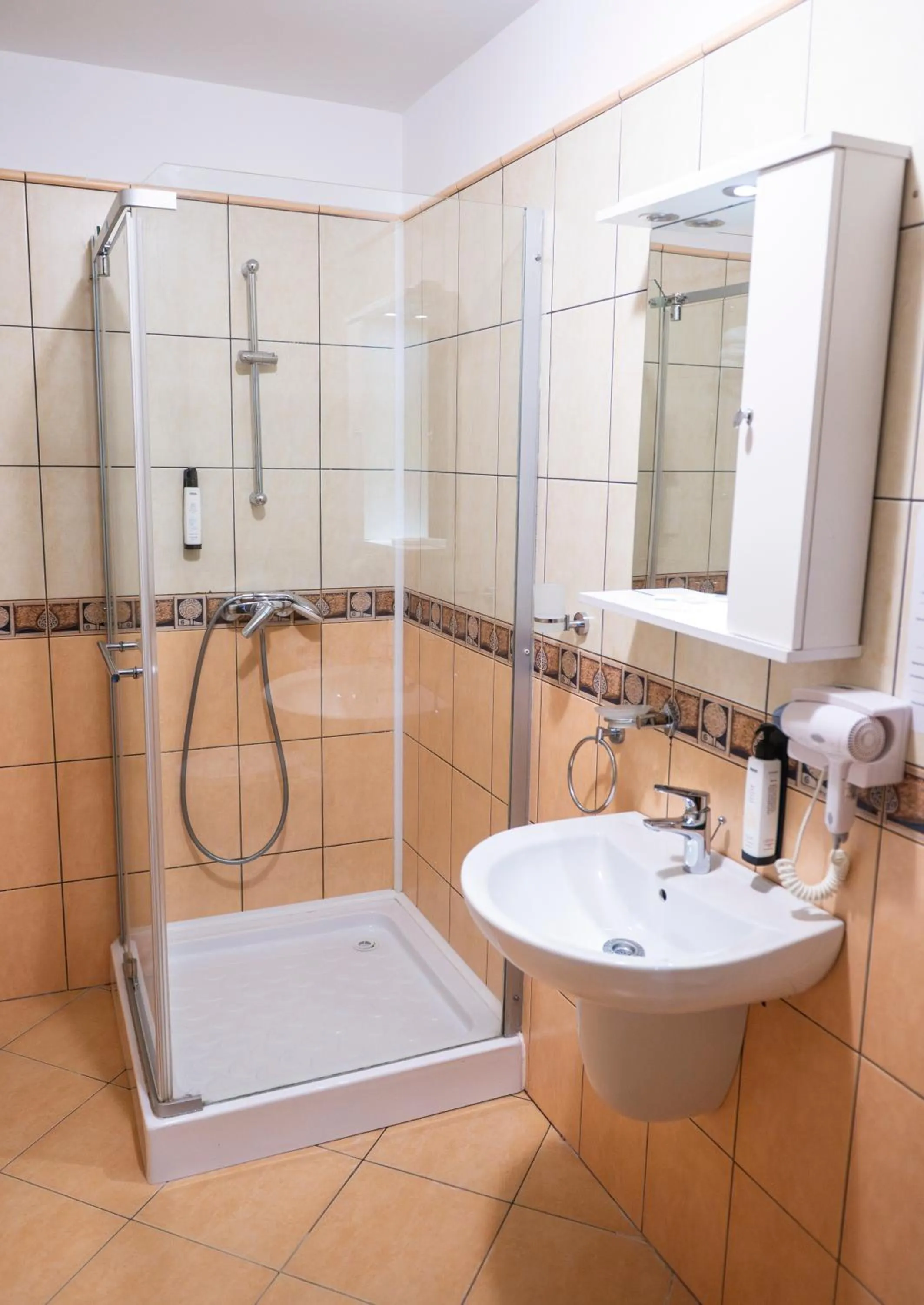 Bathroom in Conacul Domnesc