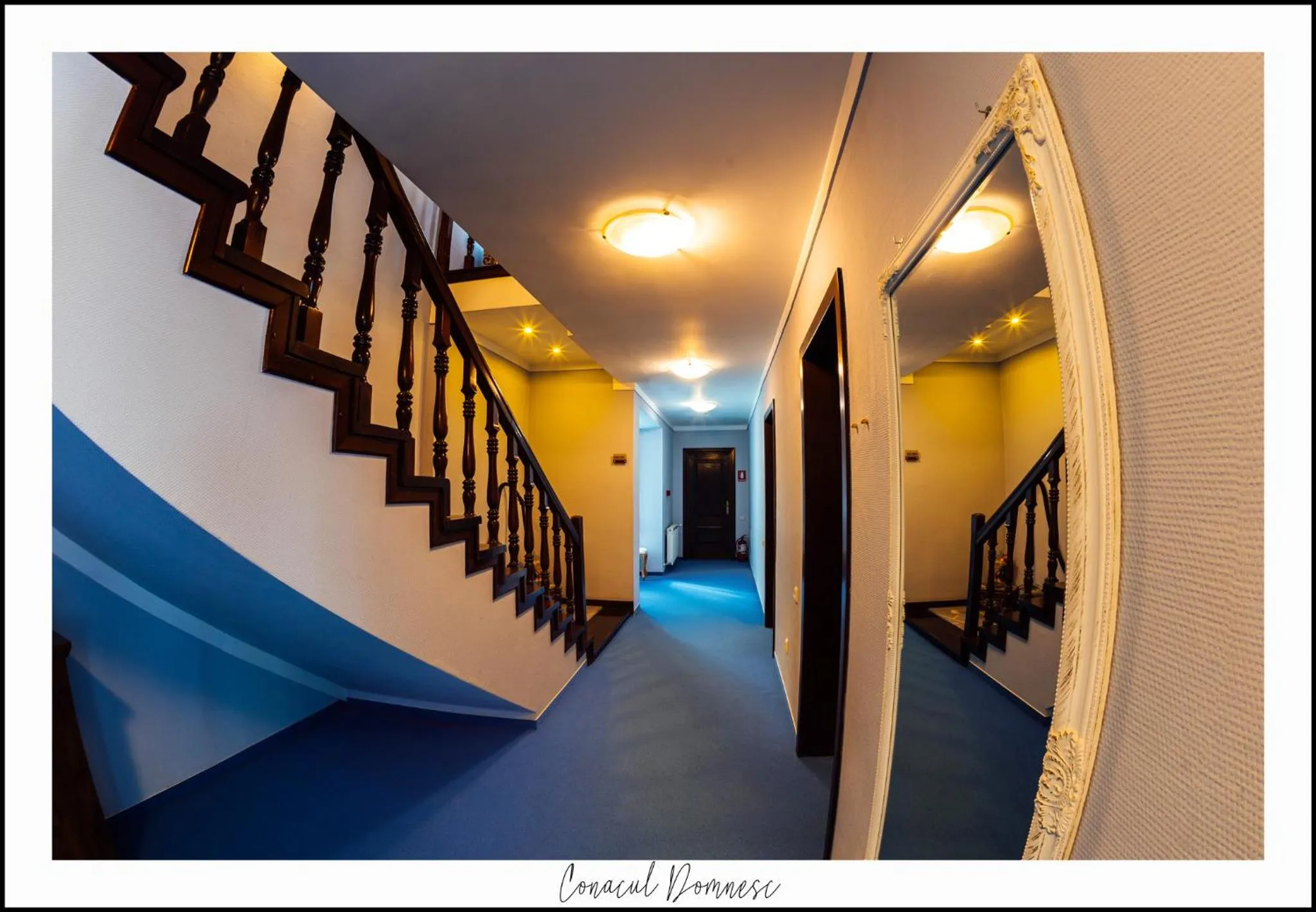 Lobby or reception in Conacul Domnesc