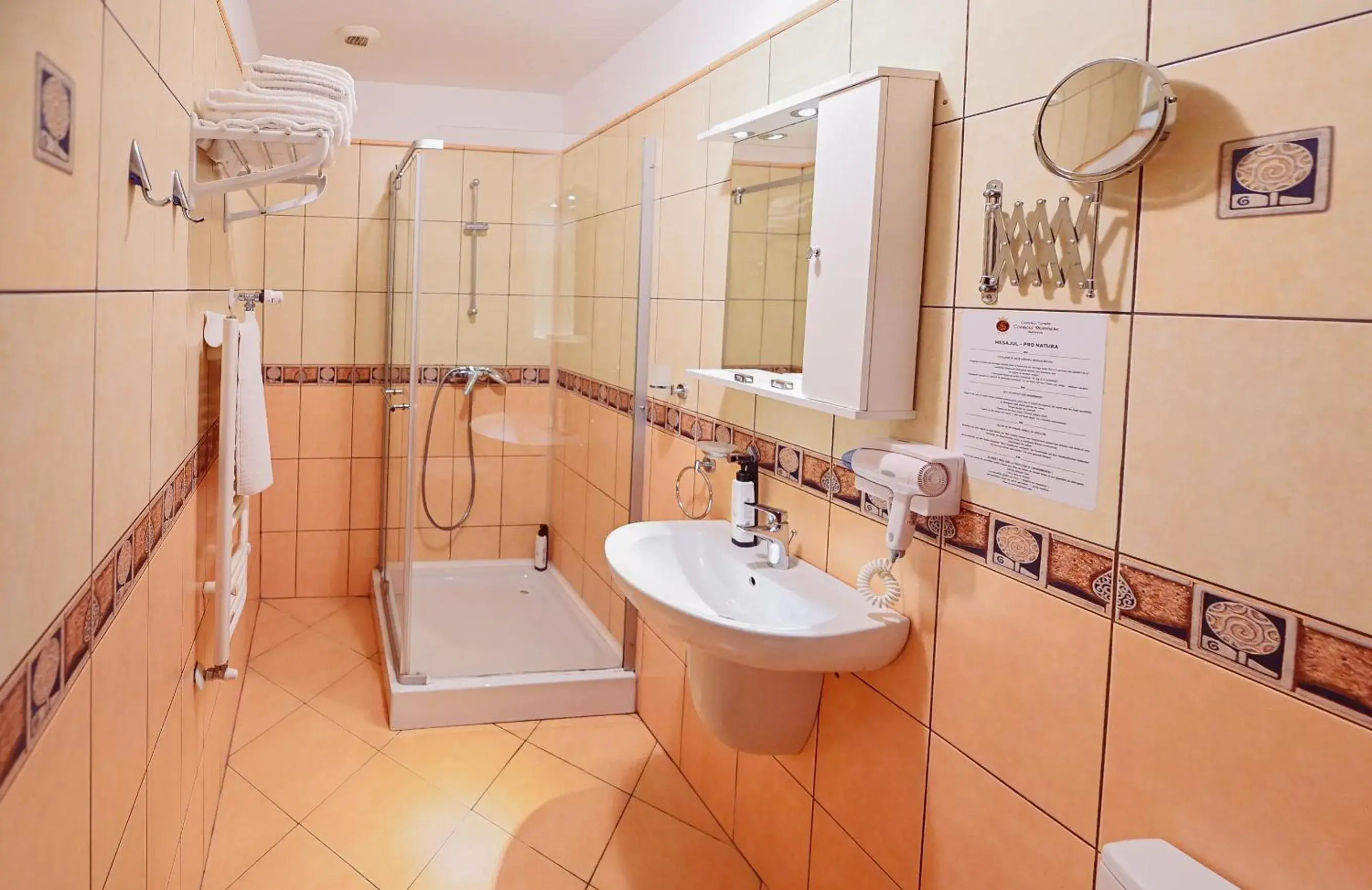 Superior Double Room in Conacul Domnesc Superior Double Room in Conacul Domnesc