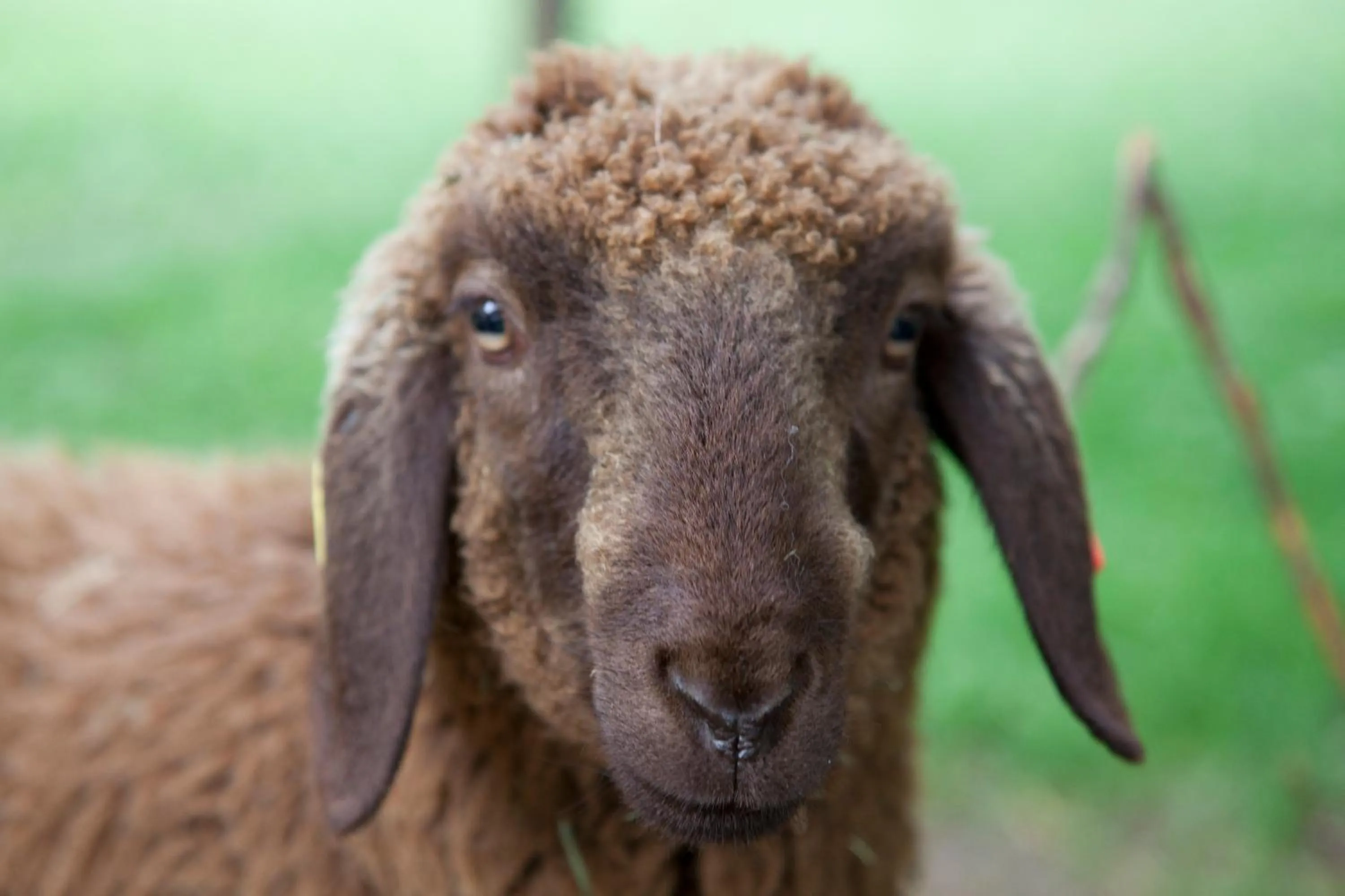 Day in Gasthaus Spinas