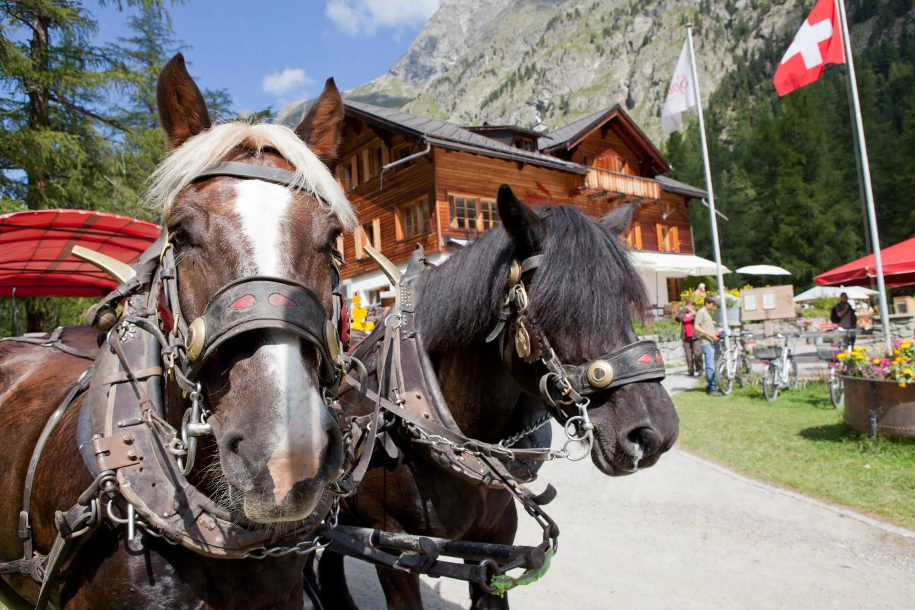 Day in Gasthaus Spinas