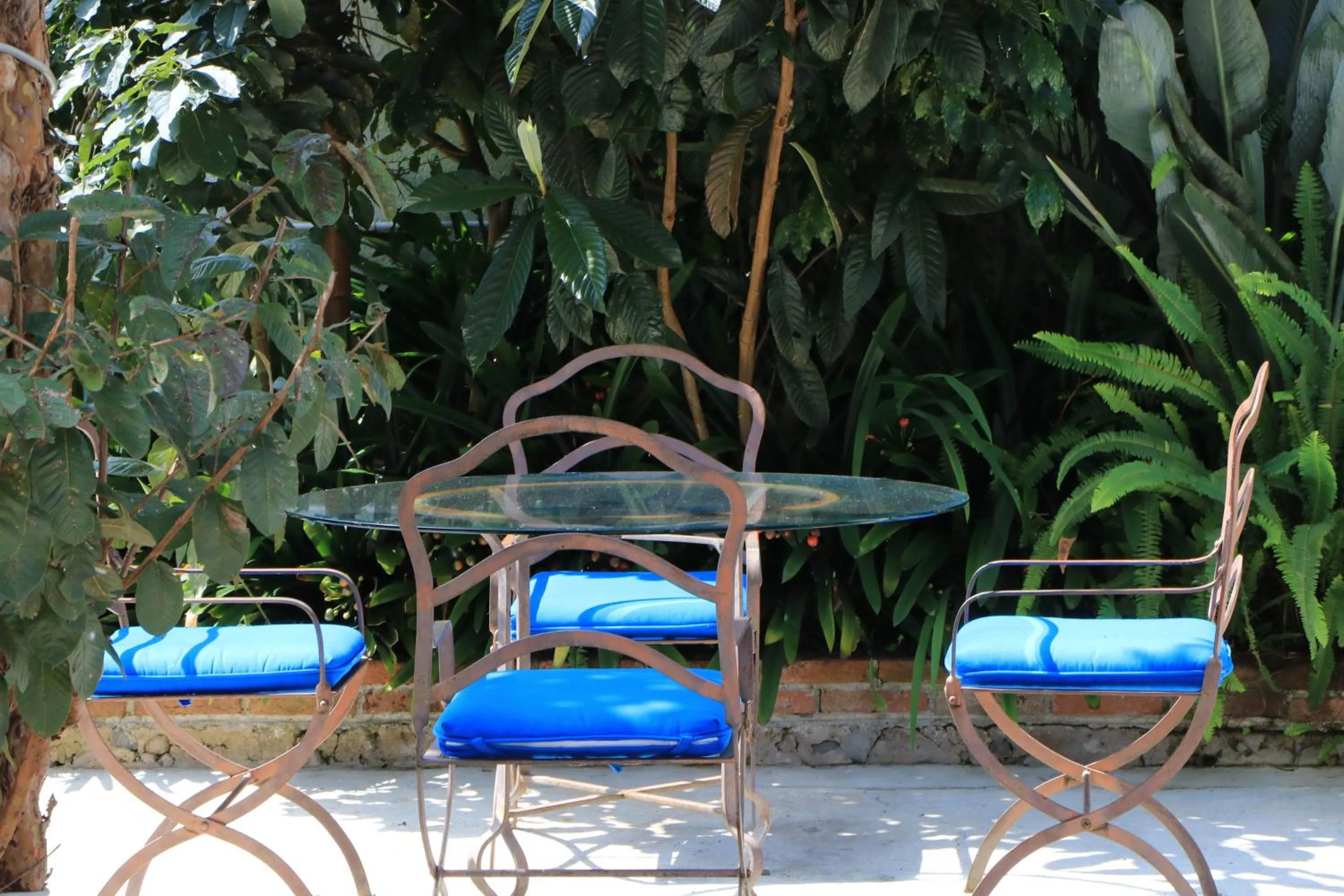 Garden in La Casona Breakfast & Wellness Center