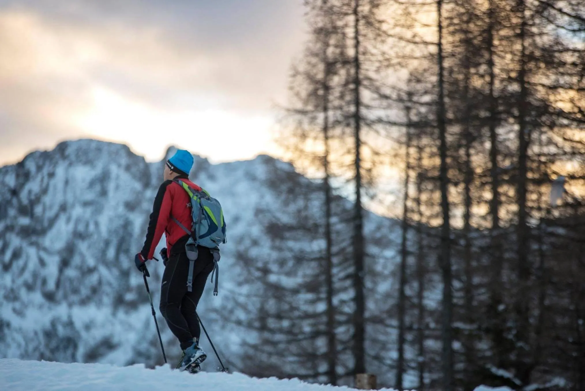 Natural landscape in Pension Pirkdorfer See