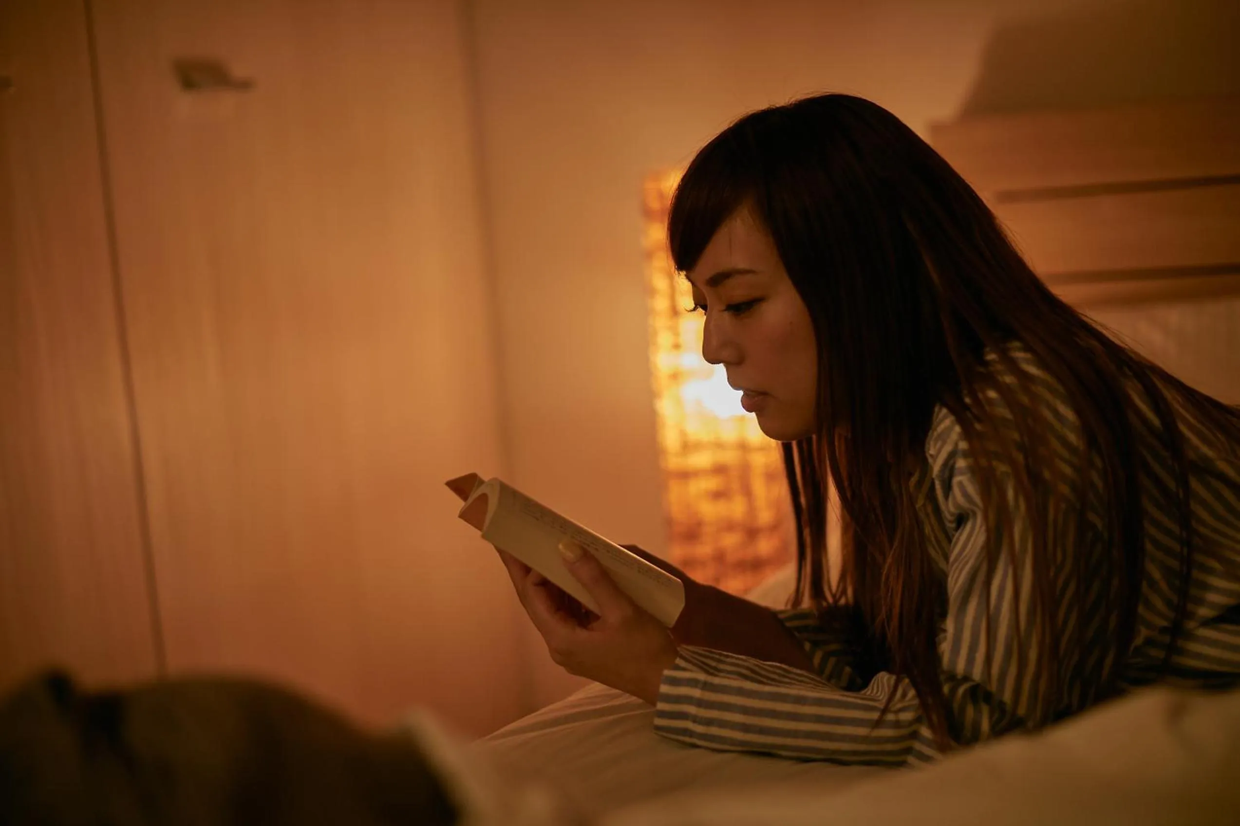 Bedroom, Bed in PINN-N4E2Ⅱ