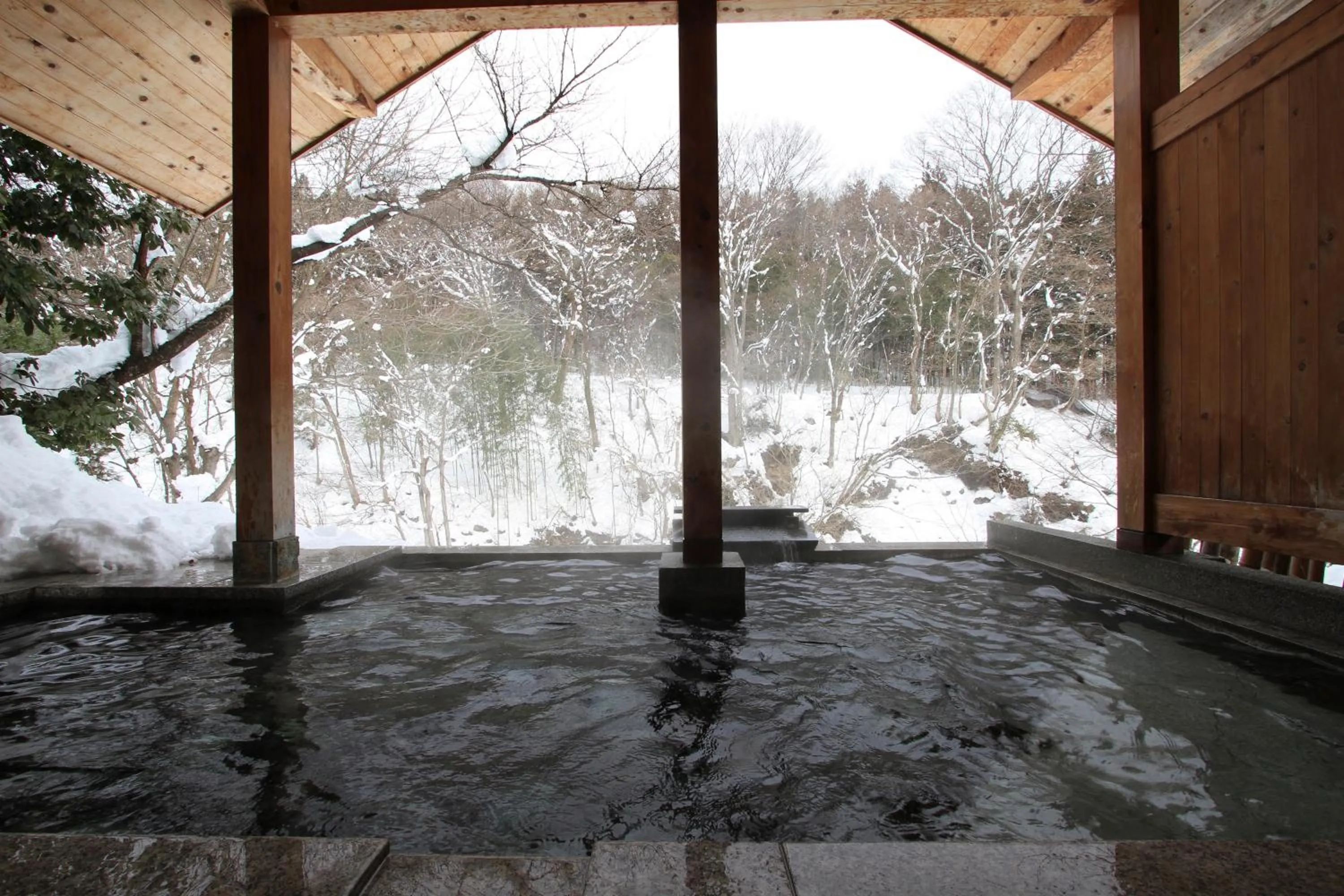 Hot Spring Bath in Bettei Senjyuan