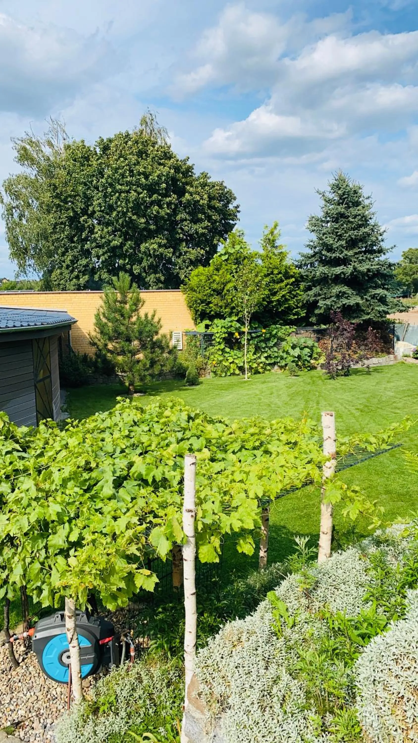 Garden in Hotel My Schildow