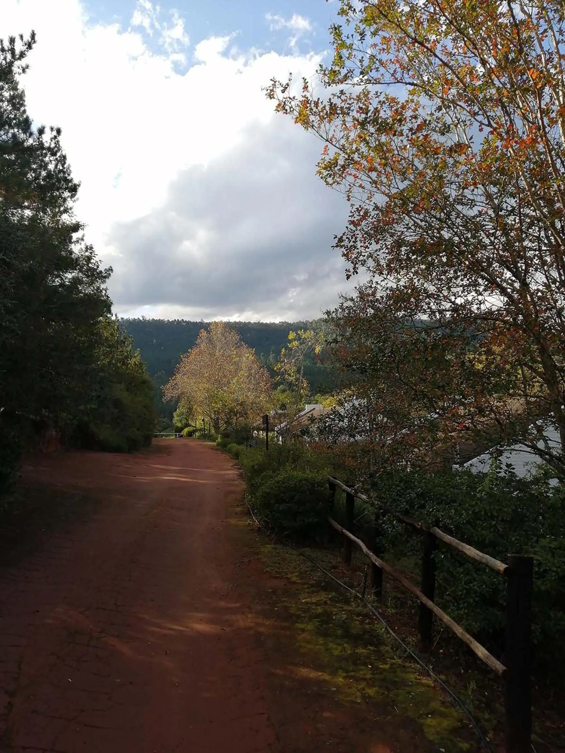 Garden in Sabie Star