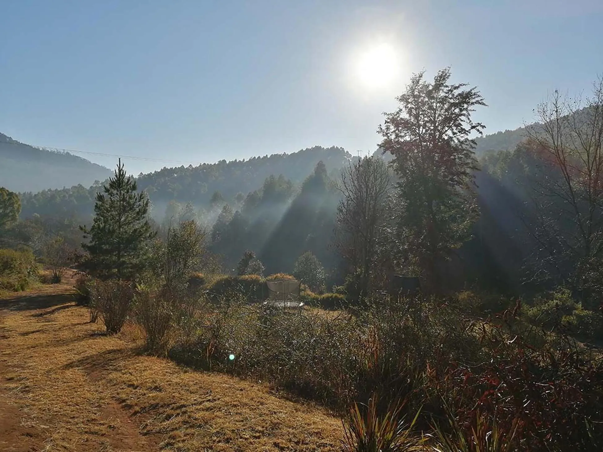 Garden in Sabie Star