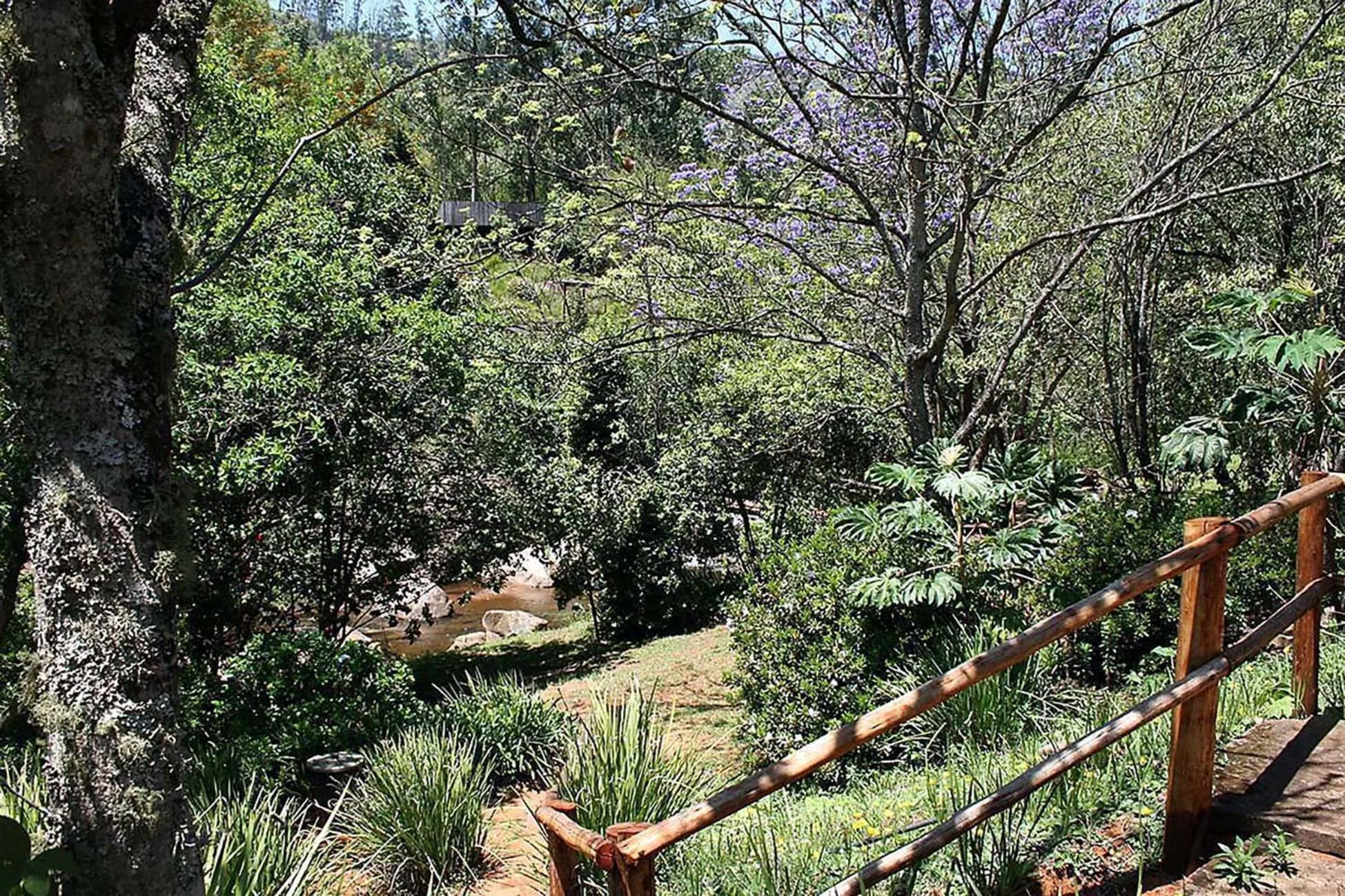 Garden in Sabie Star