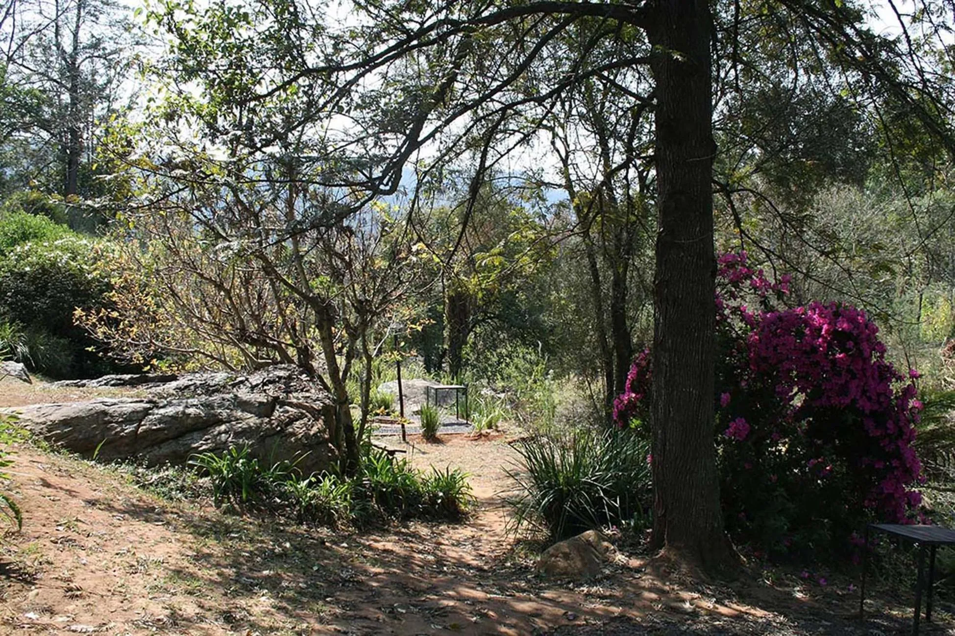 Garden in Sabie Star