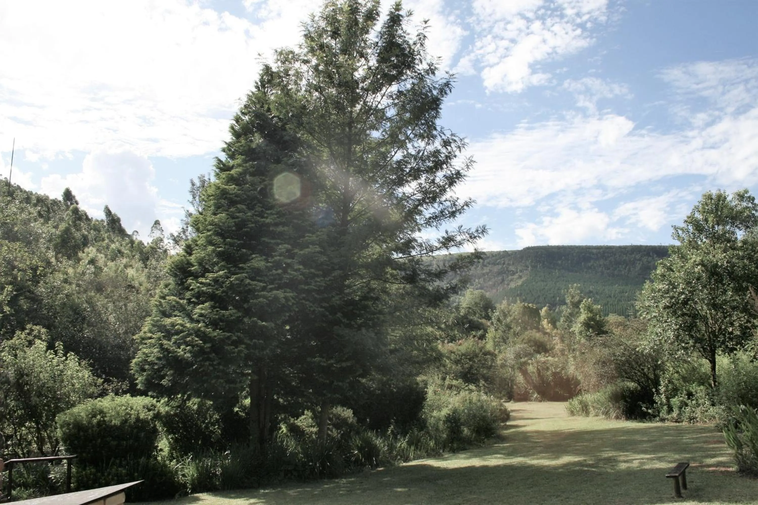 Property building in Sabie Star