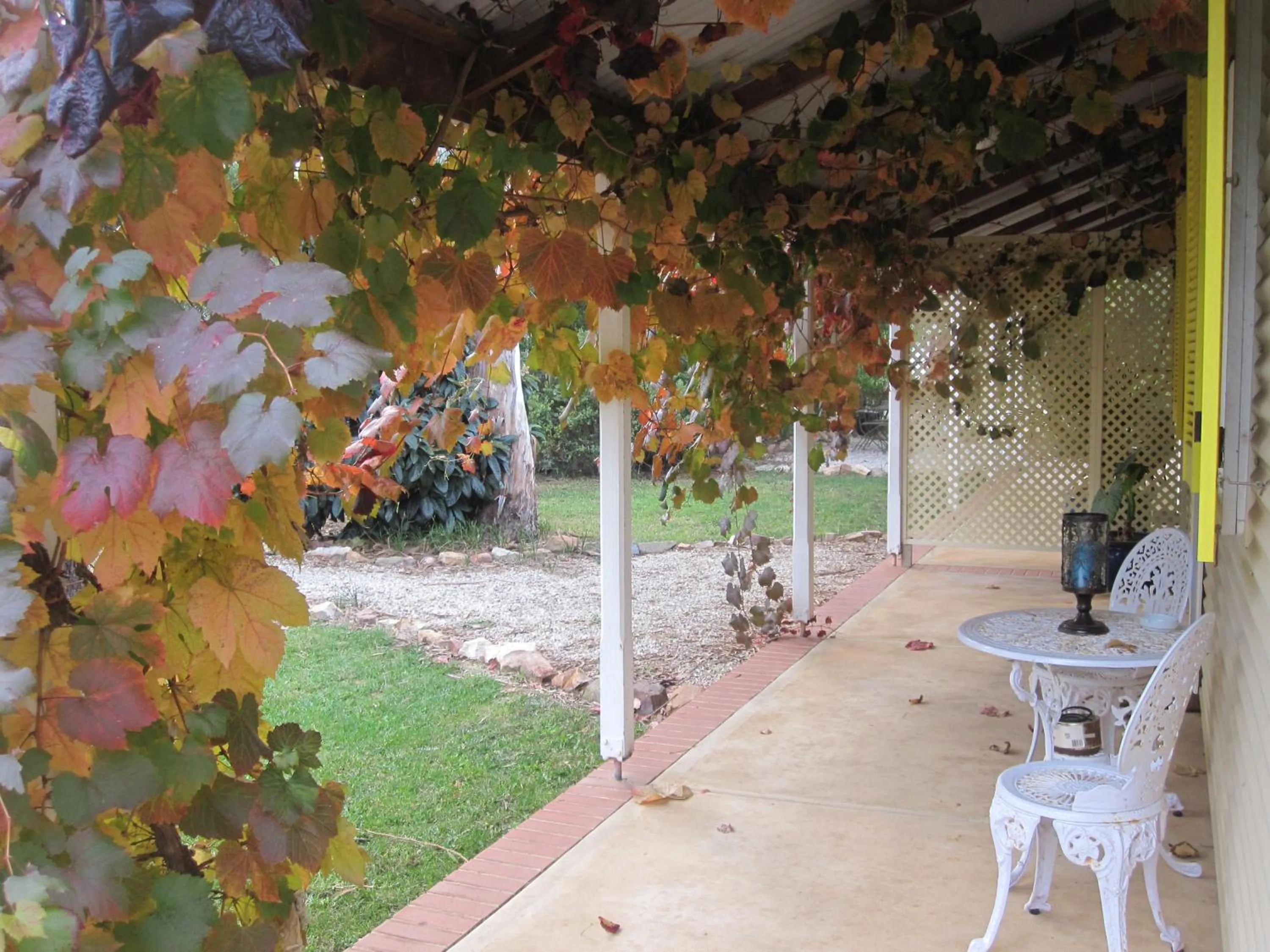 Balcony/Terrace in Amy's House Bed & Breakfast