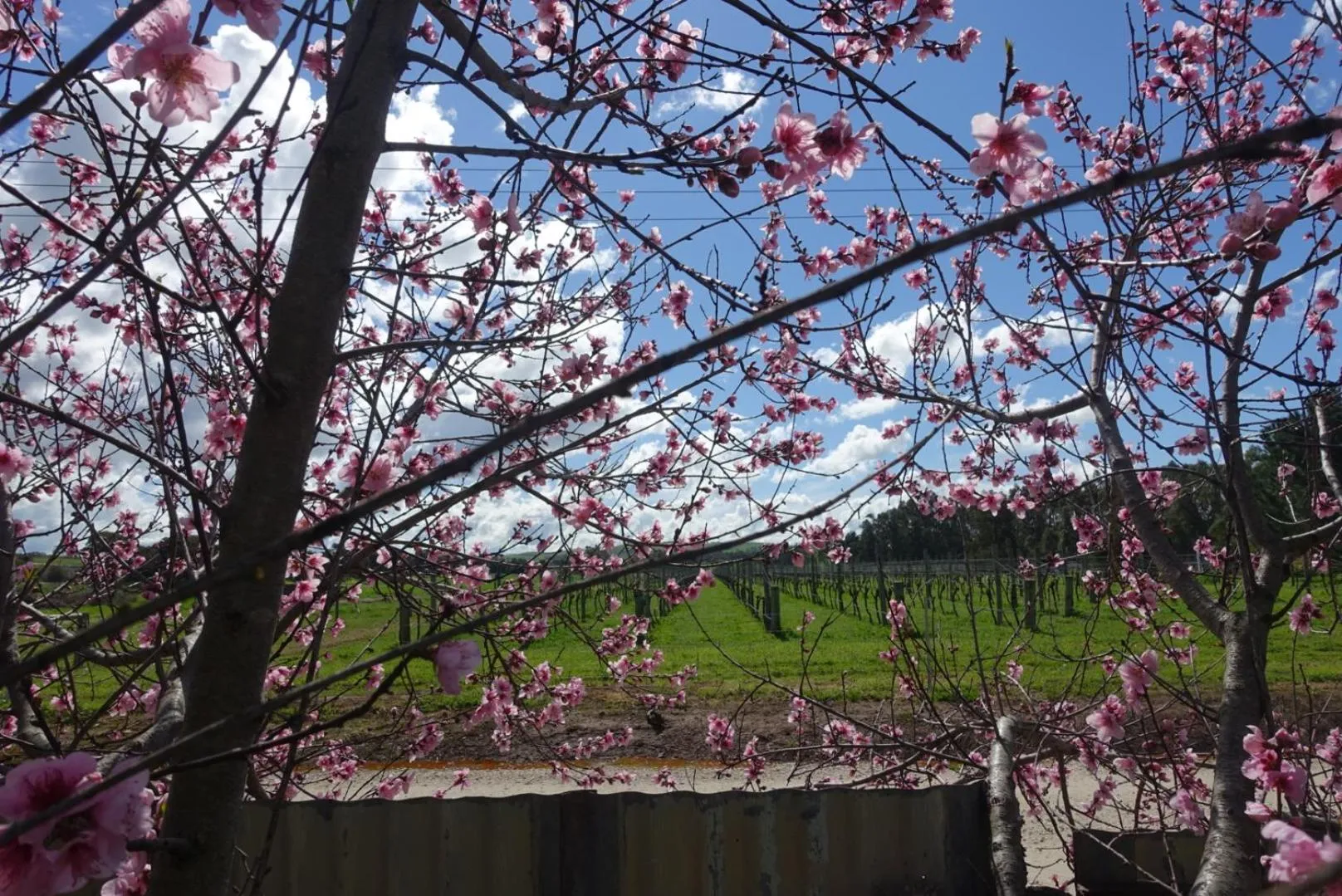 Amy's House Bed & Breakfast