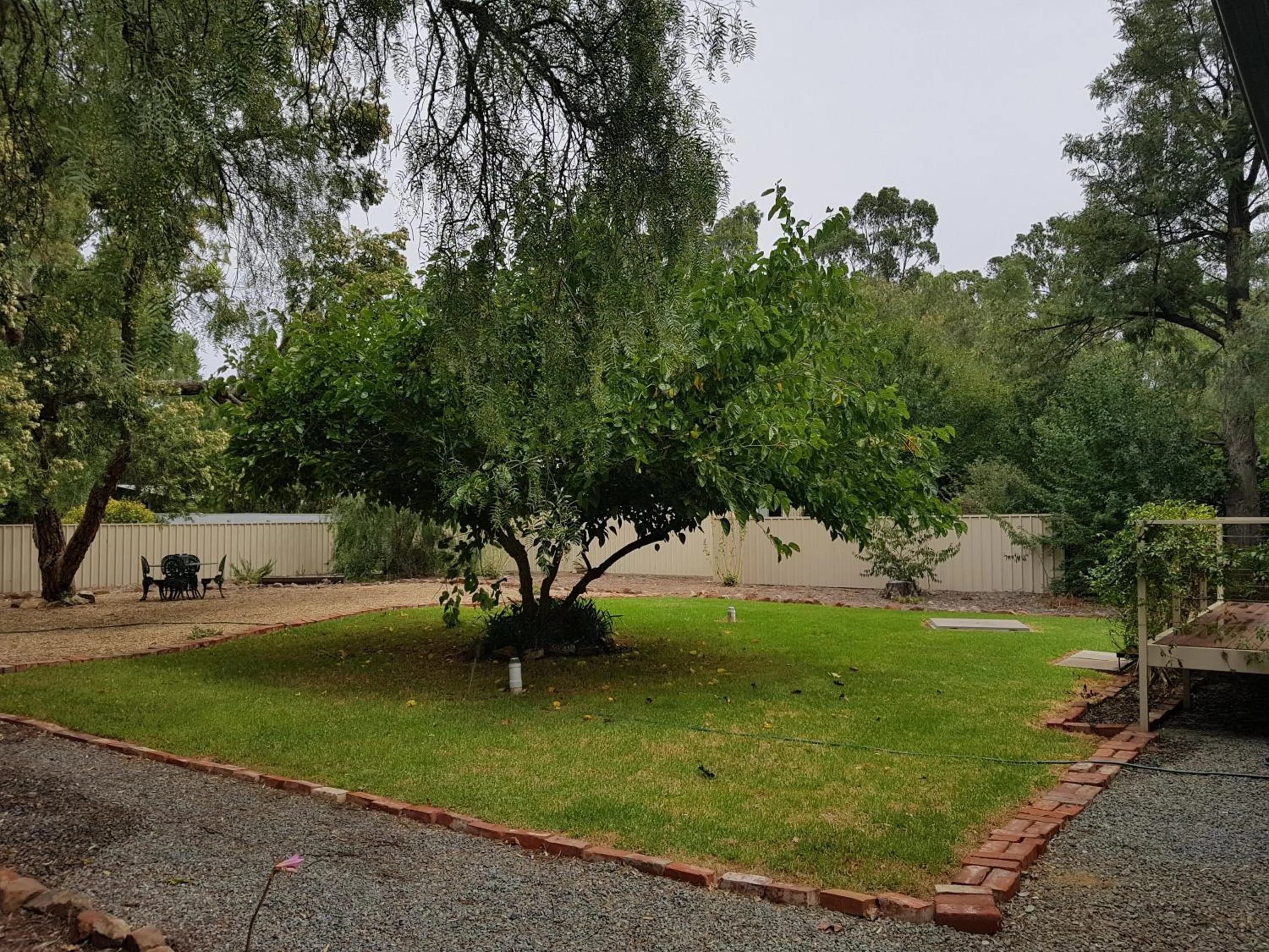 Garden in Amy's House Bed & Breakfast