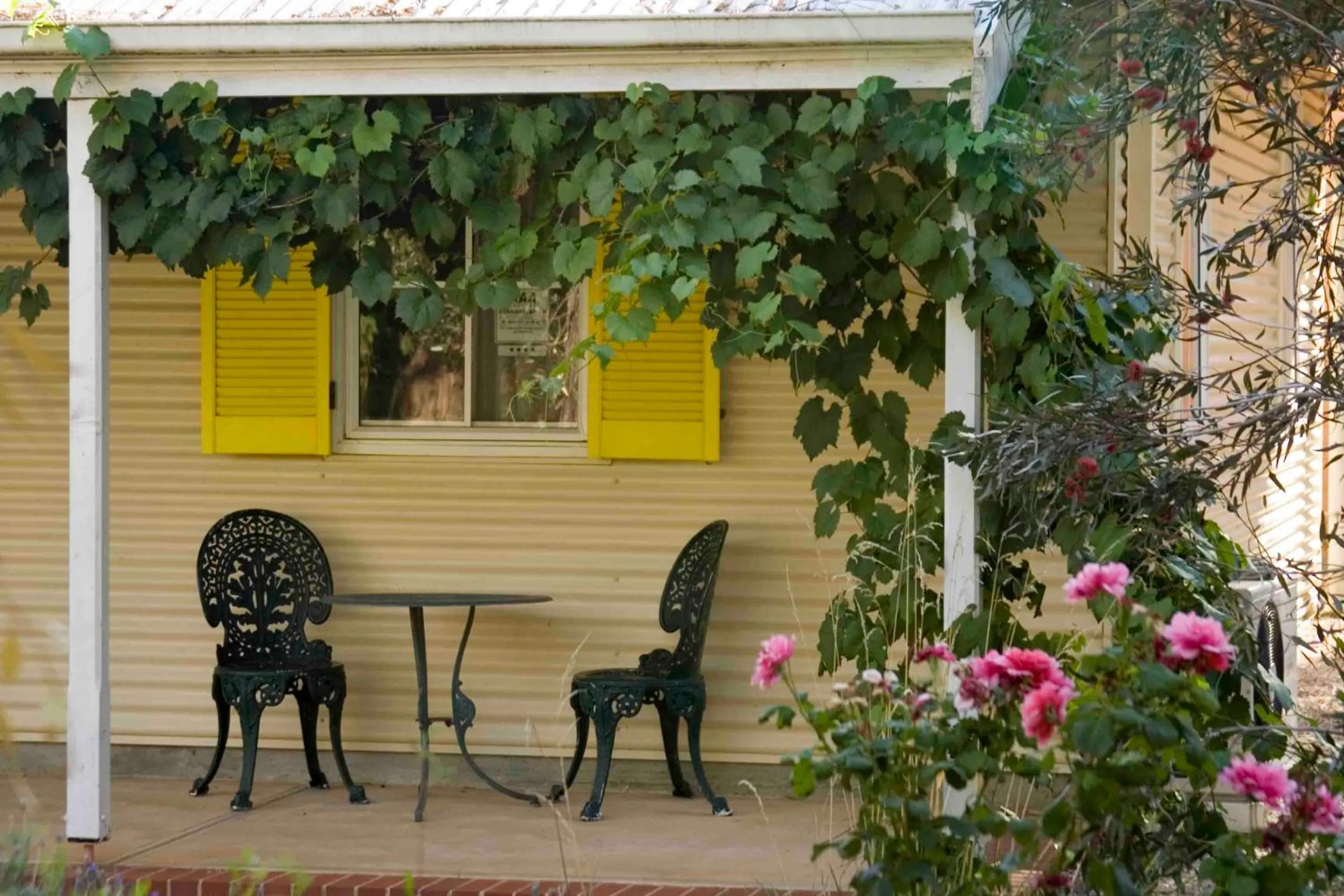 Area and facilities in Amy's House Bed & Breakfast