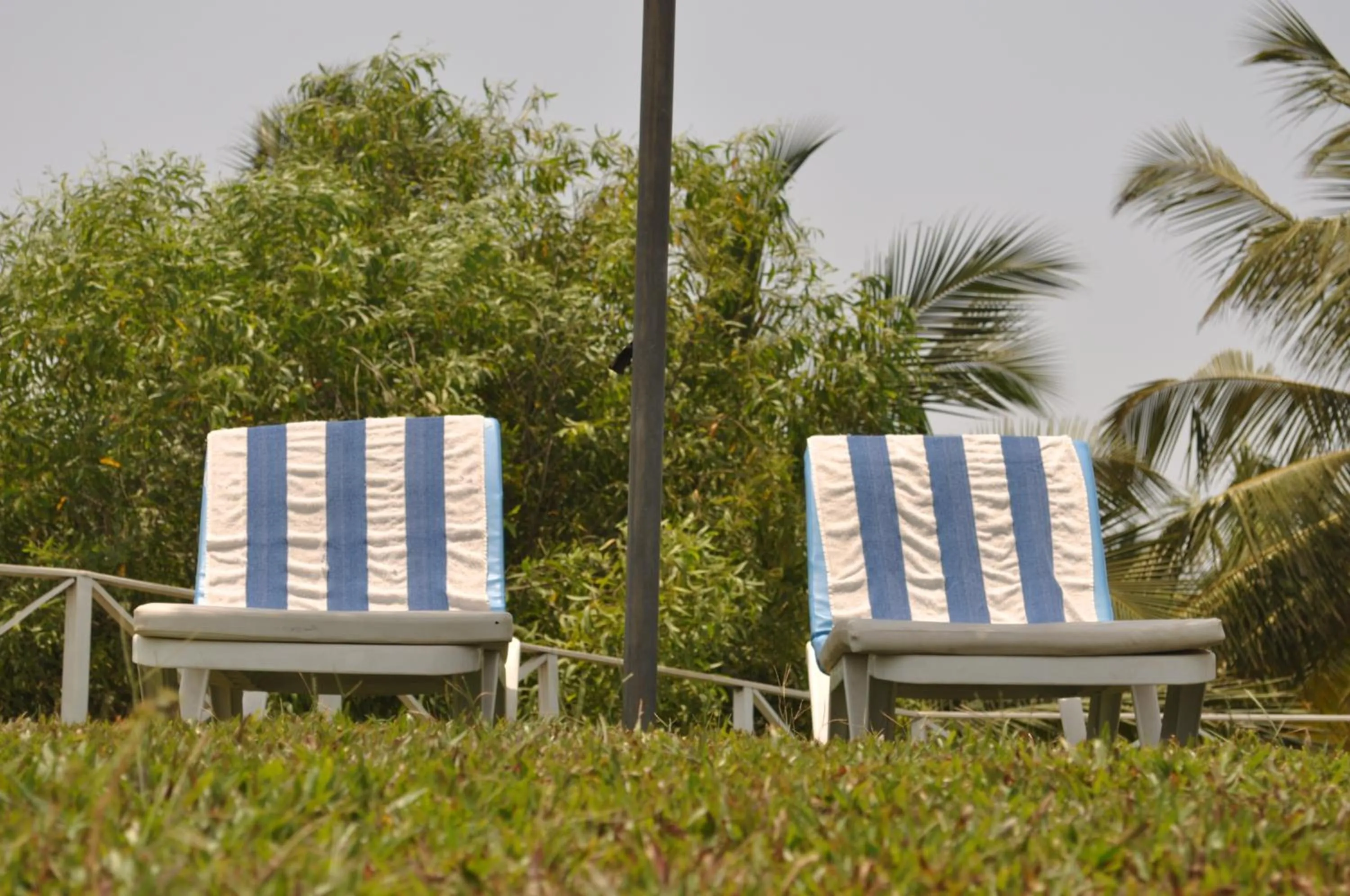 Day in Colonia Santa Maria