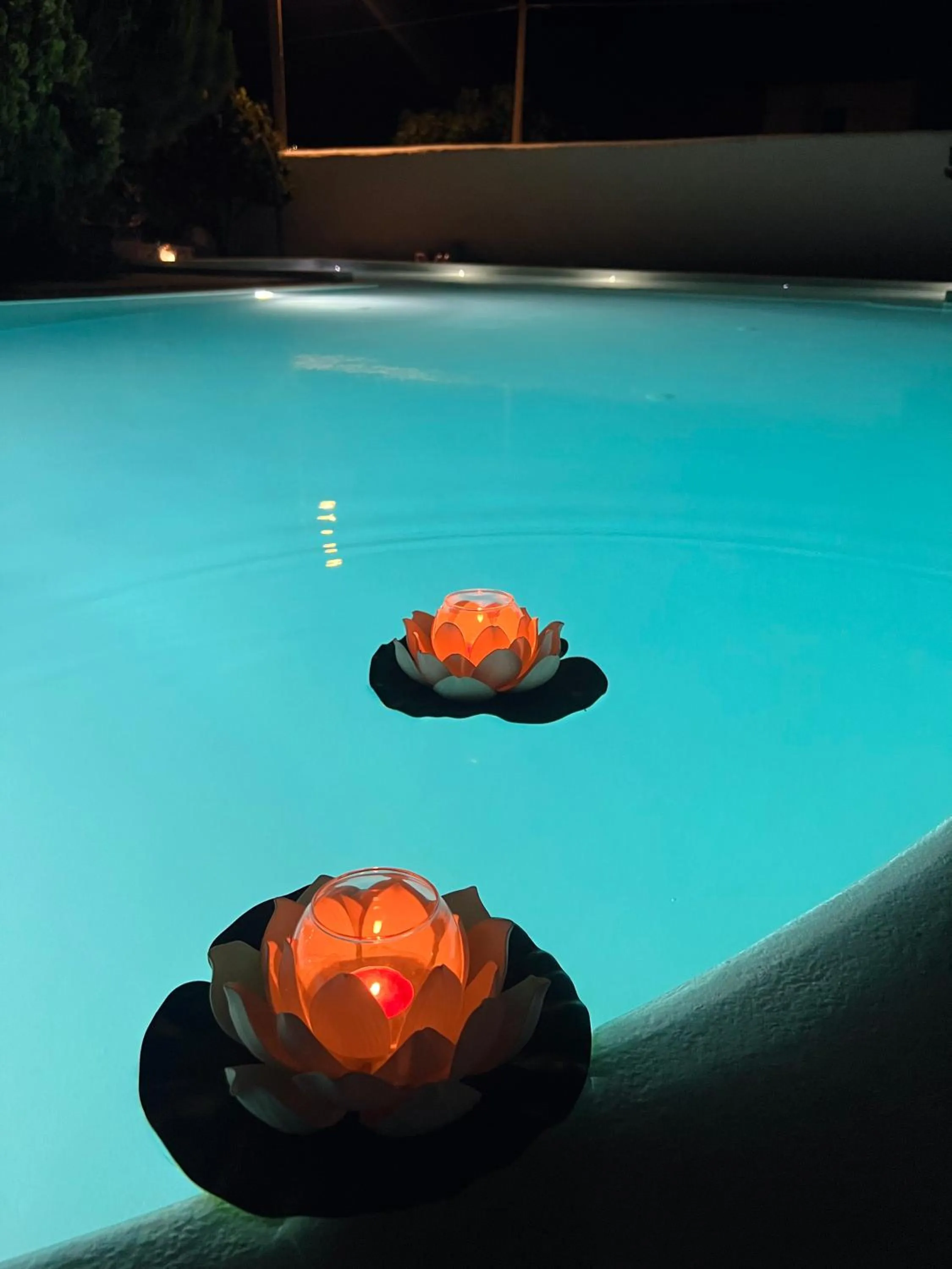 Swimming pool in Santo Margarita