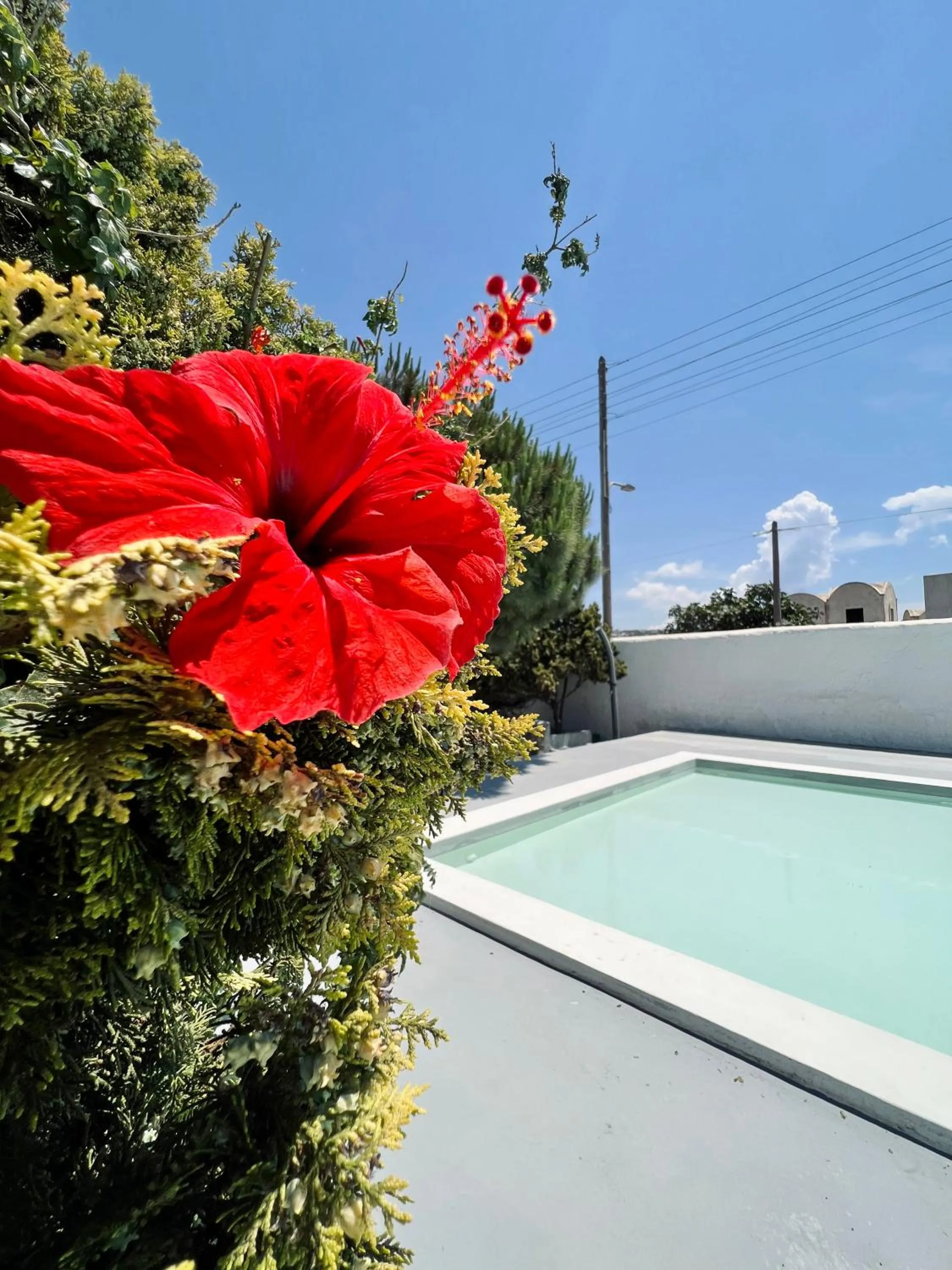 Swimming pool in Santo Margarita