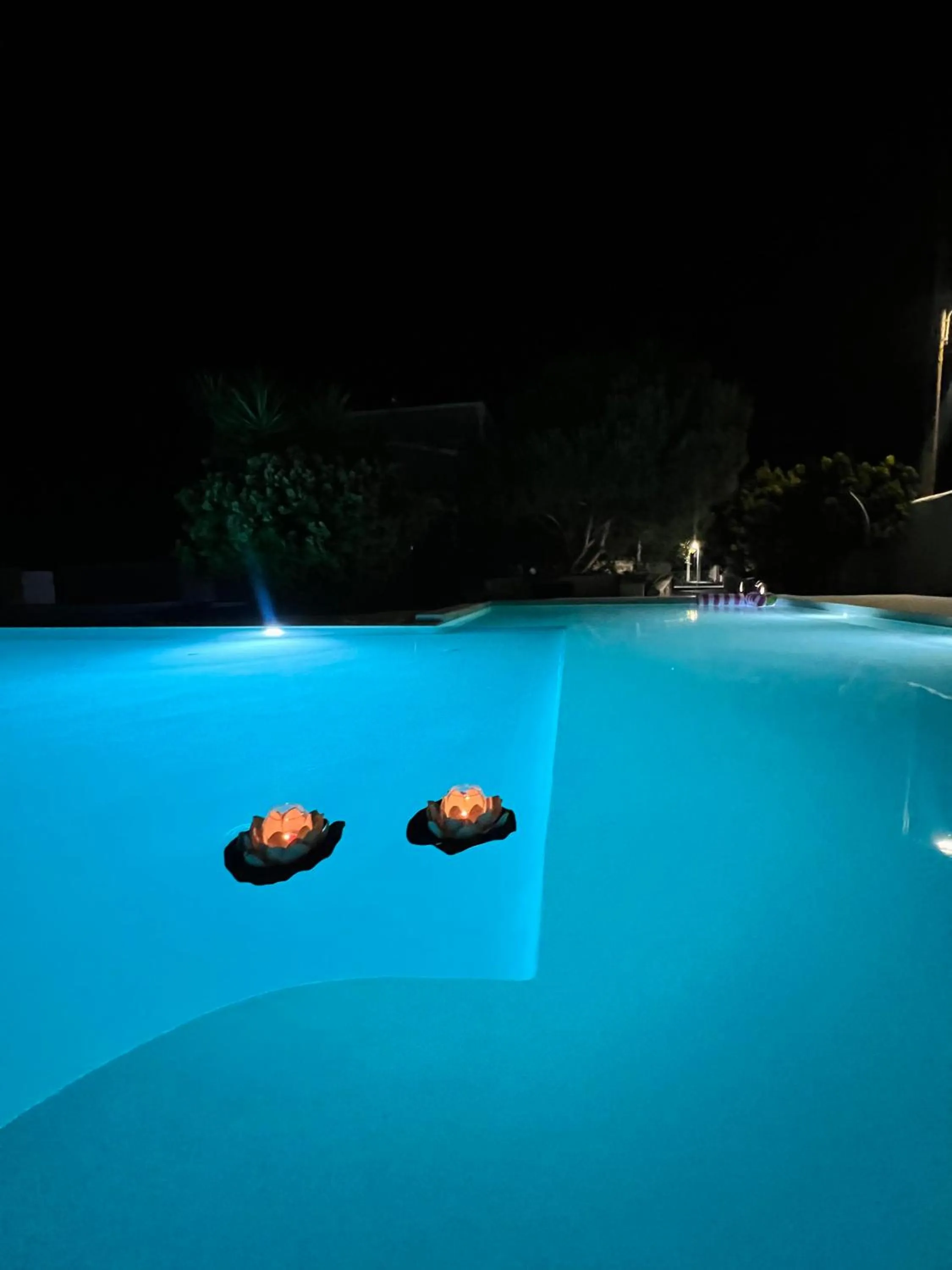 Swimming pool in Santo Margarita