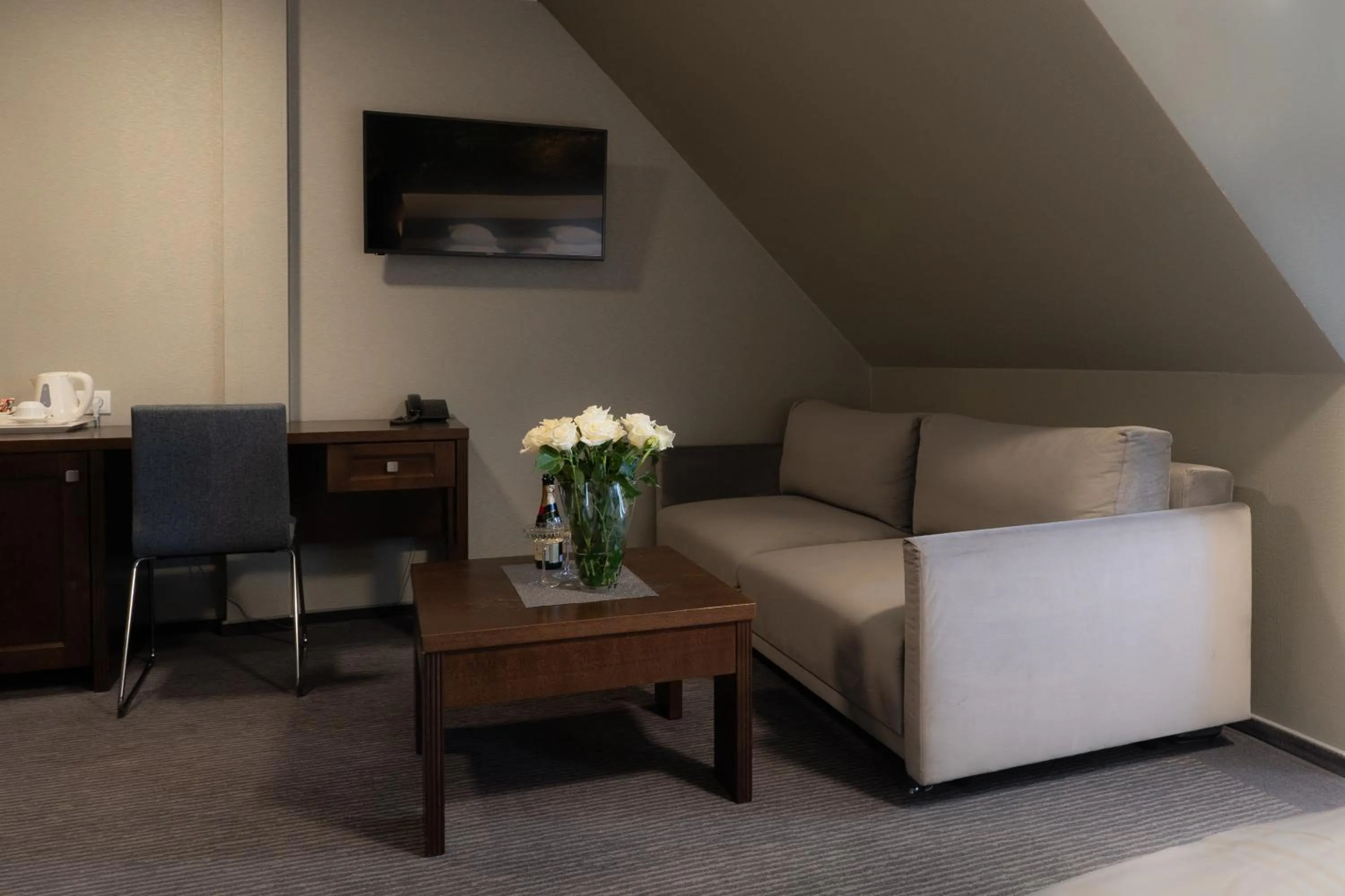 TV and multimedia in Hotel Salve