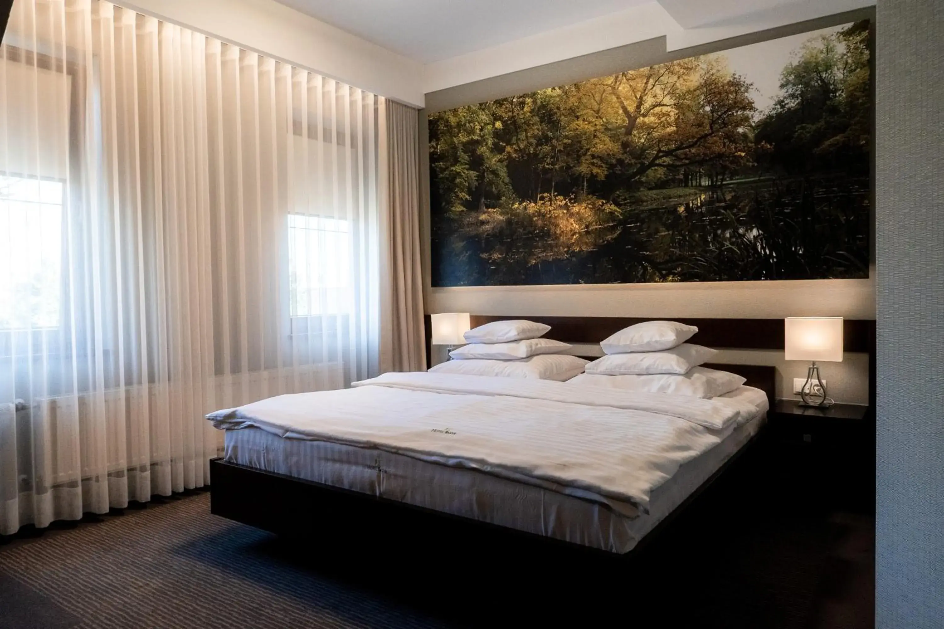 Deluxe Room - single occupancy in Hotel Salve Deluxe Room - single occupancy in Hotel Salve