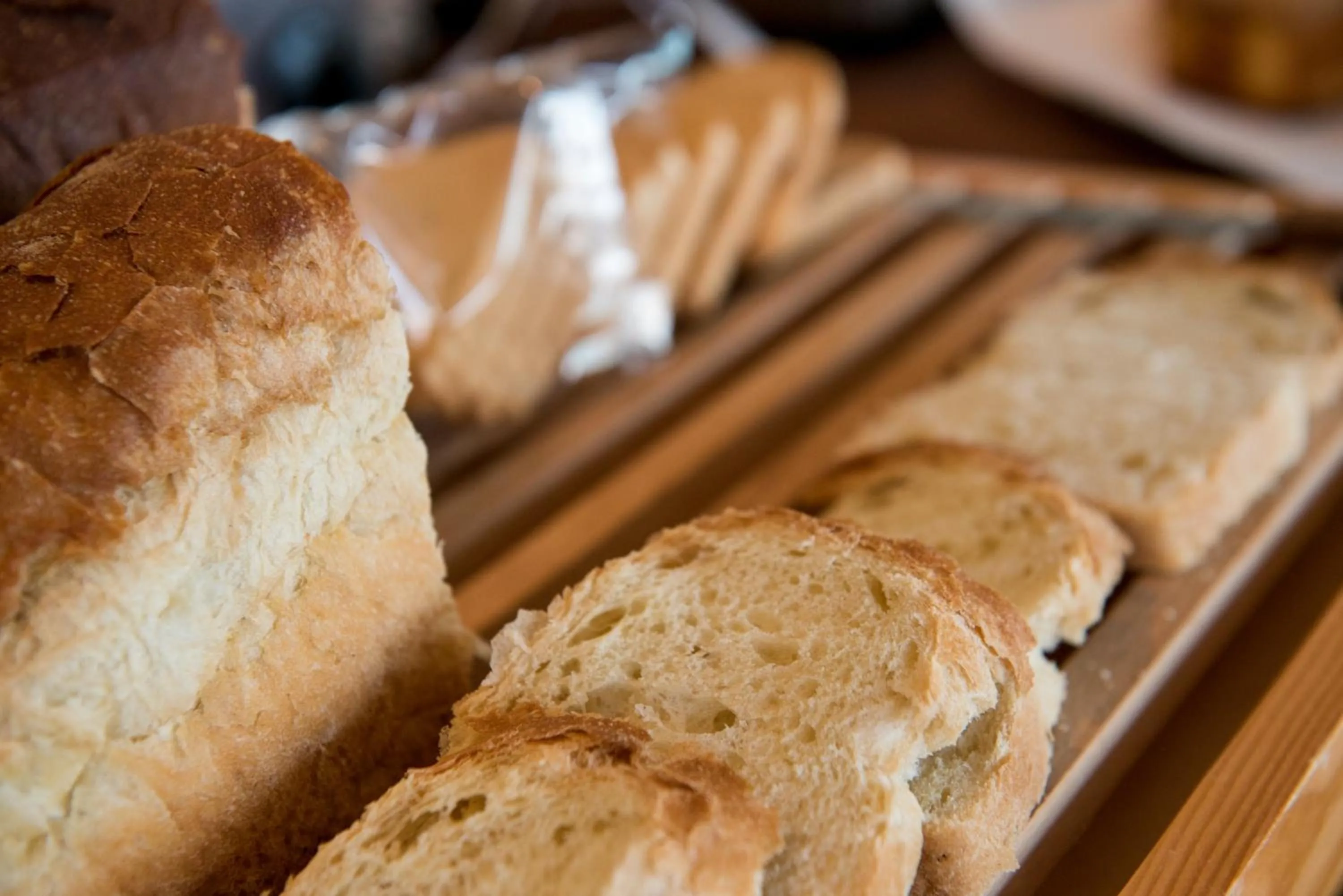 Food close-up in Santa Rosa Hotel & Beach