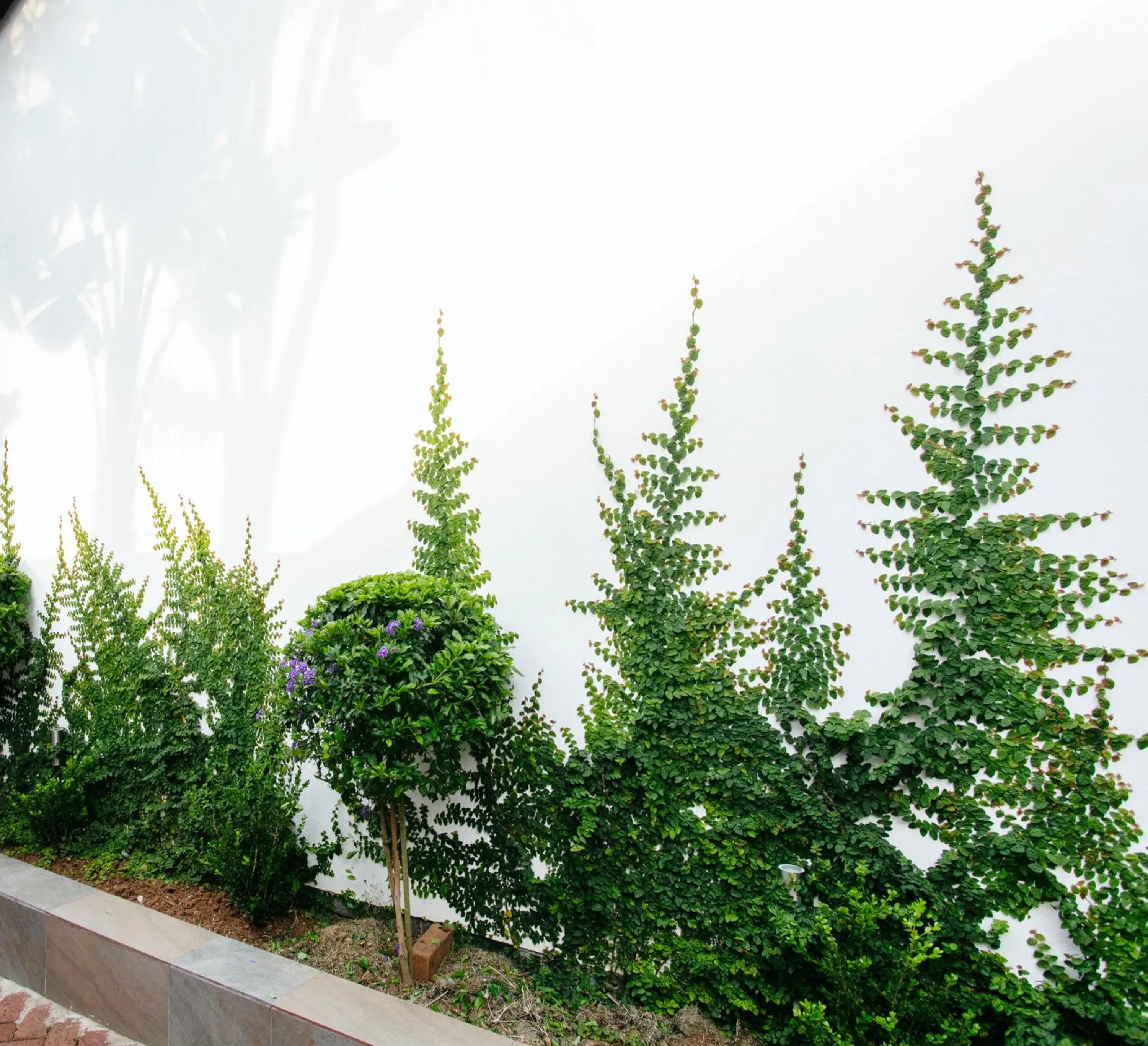 Property building in Menlyn Apartments