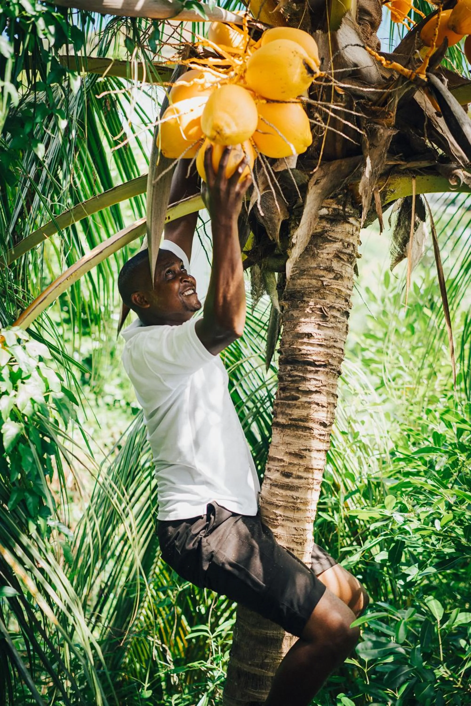 Staff in Raffles Seychelles