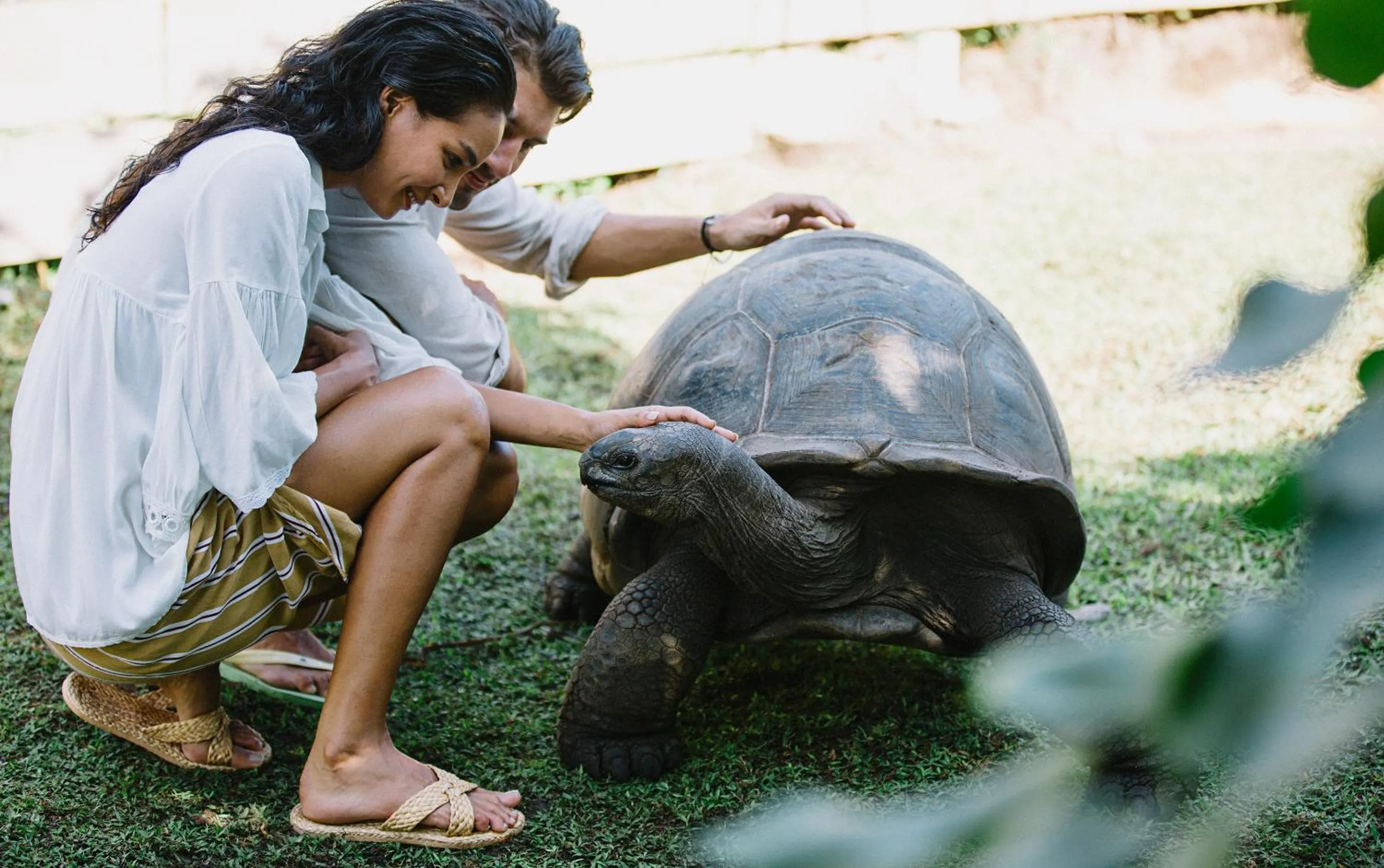 Activities in Raffles Seychelles