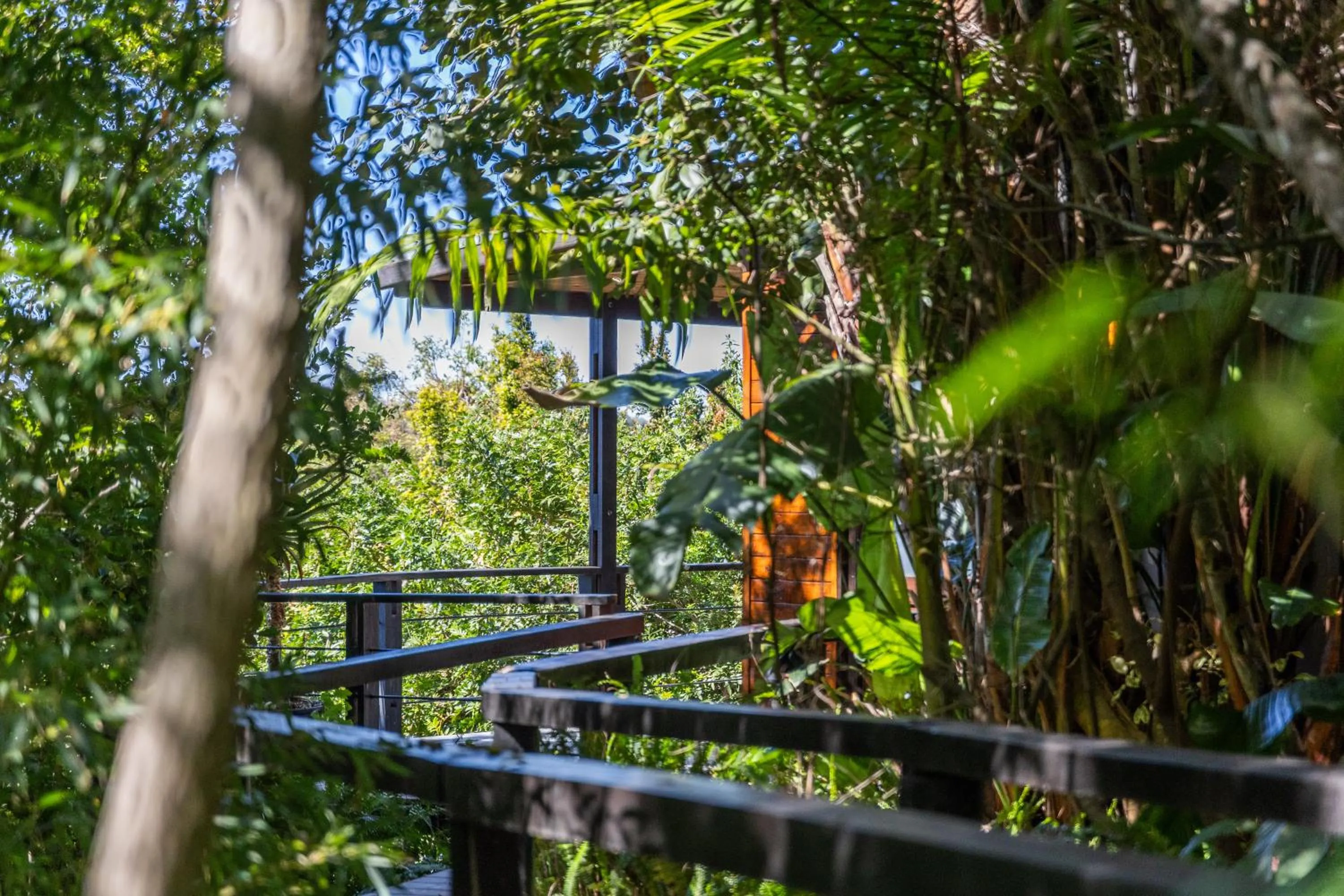 Natural landscape in Hog Hollow Country Lodge