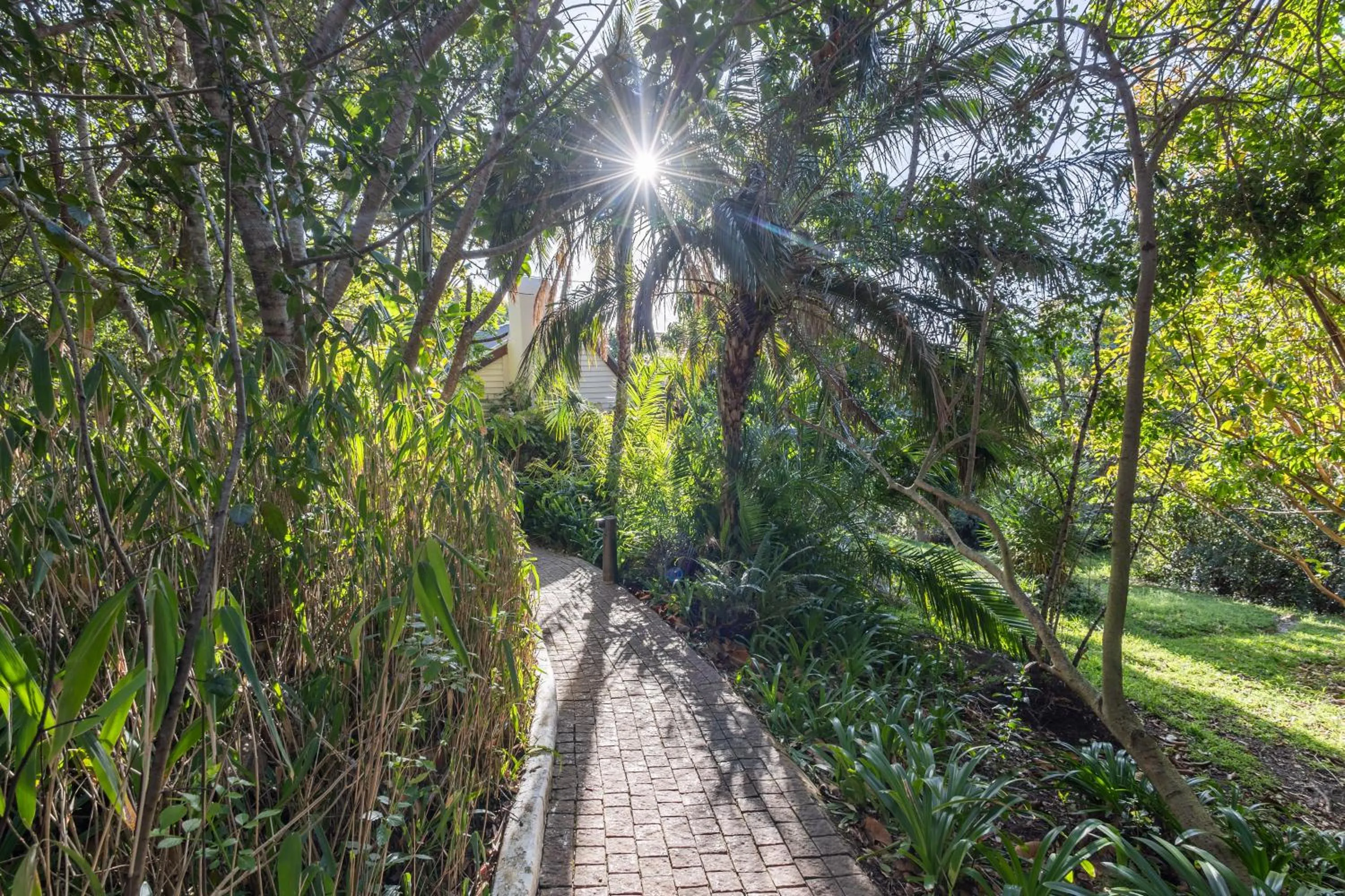 Natural landscape in Hog Hollow Country Lodge
