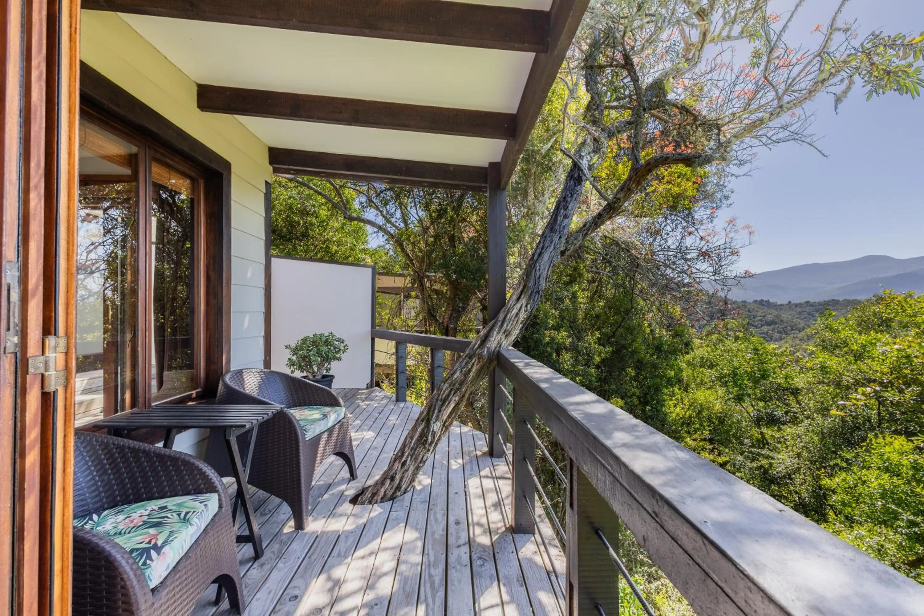 Natural landscape in Hog Hollow Country Lodge