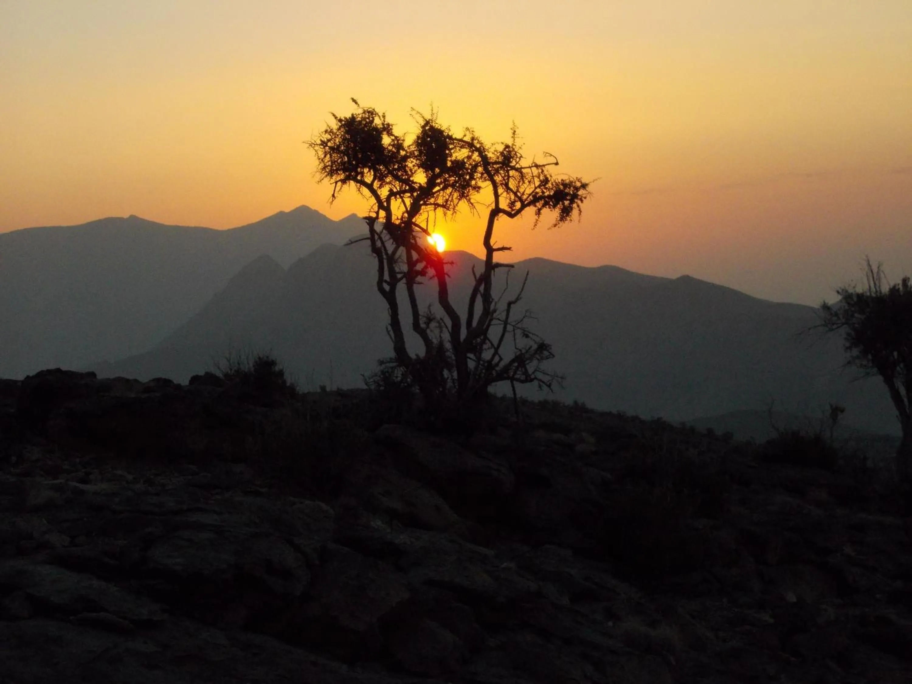 On site in Sama Heights Resort