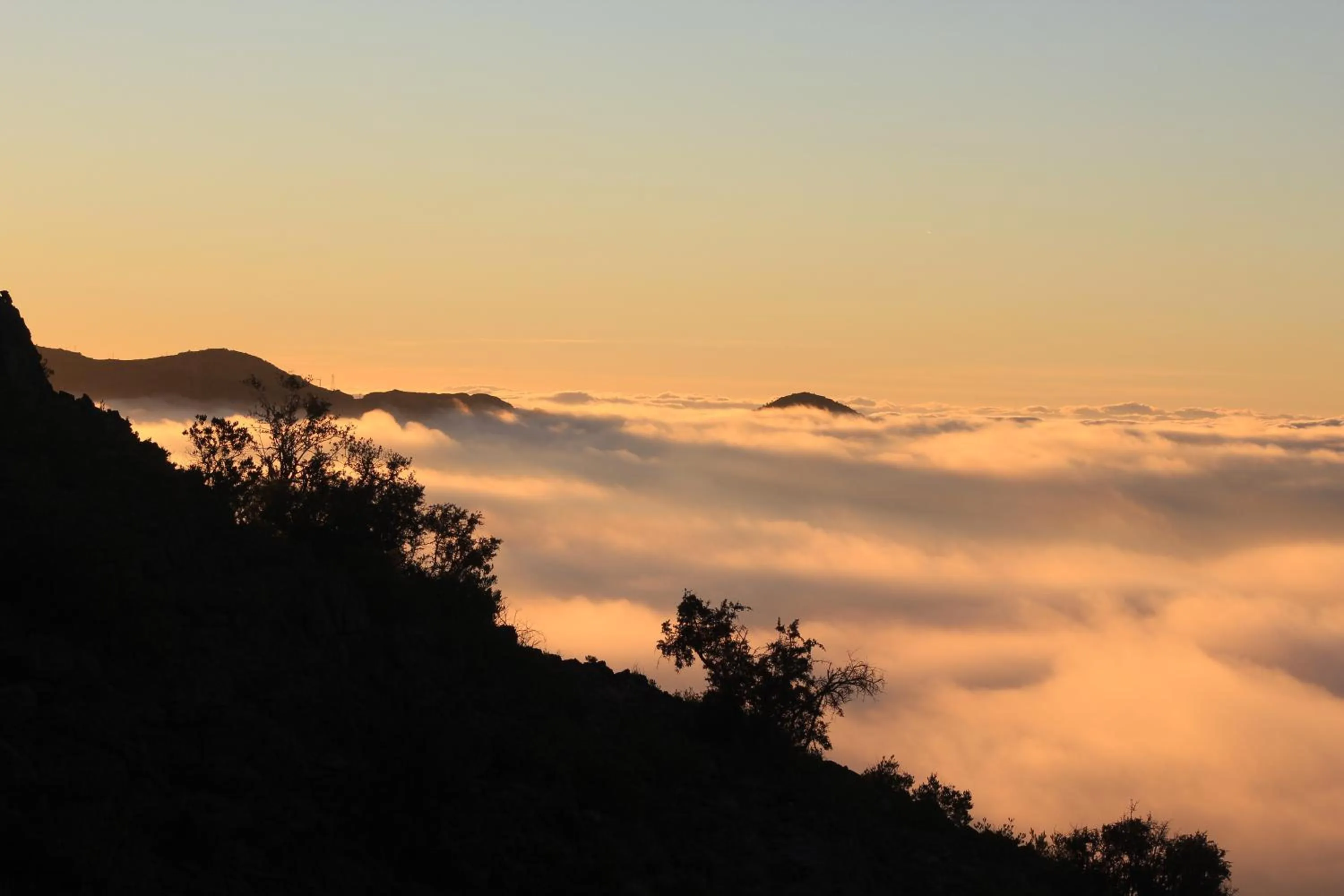 On site in Sama Heights Resort