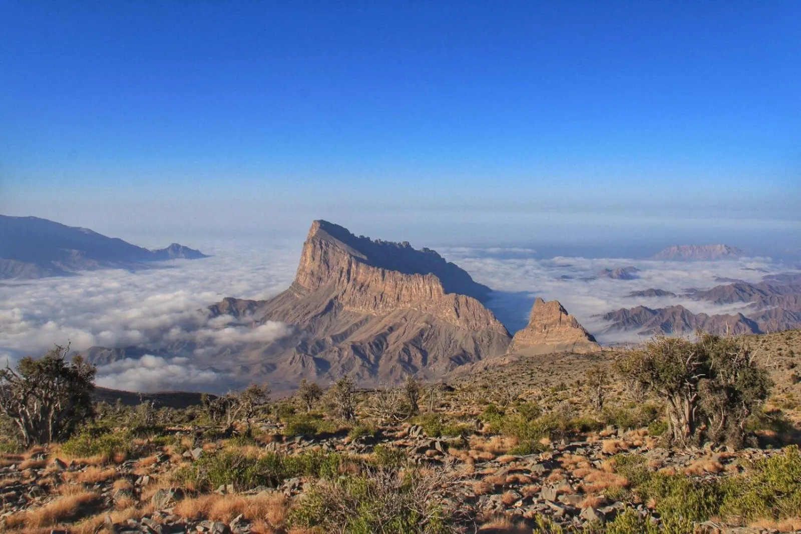 Natural landscape in Sama Heights Resort