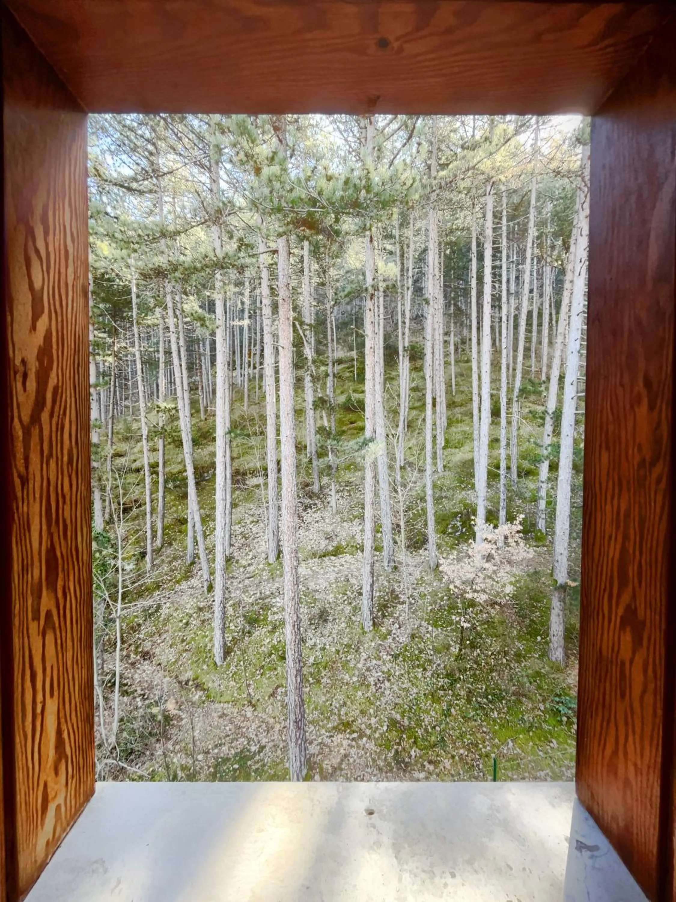 Spring in Hotel Garnì Mille Pini