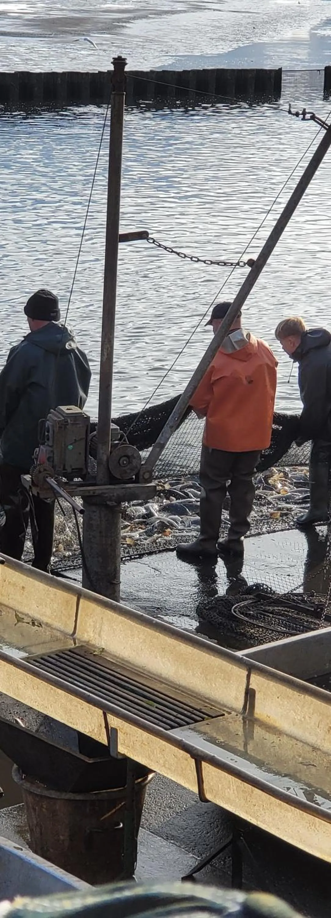 Ostsee Radlerpension Peitz