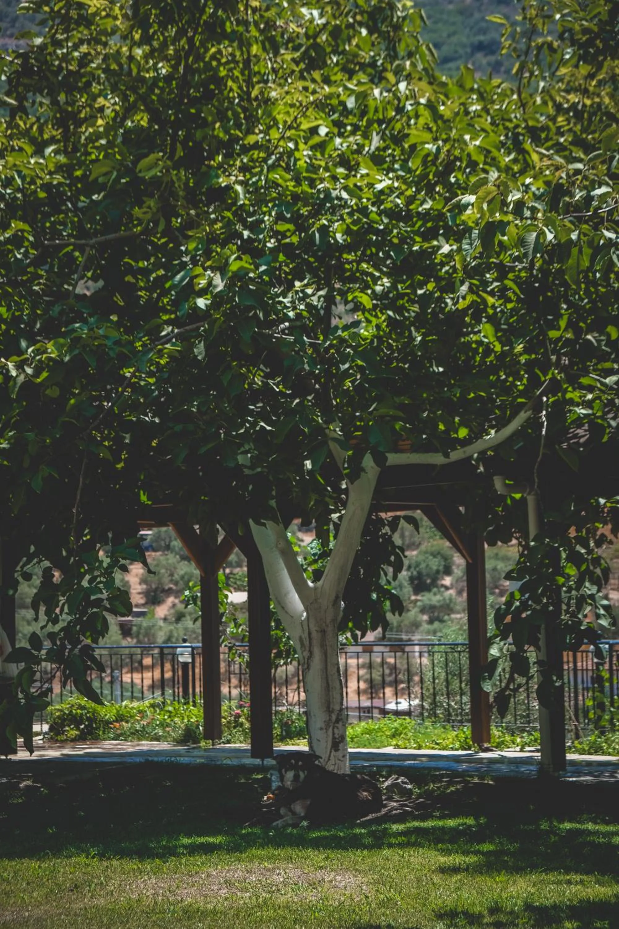 Garden in Natureland Efes Pension