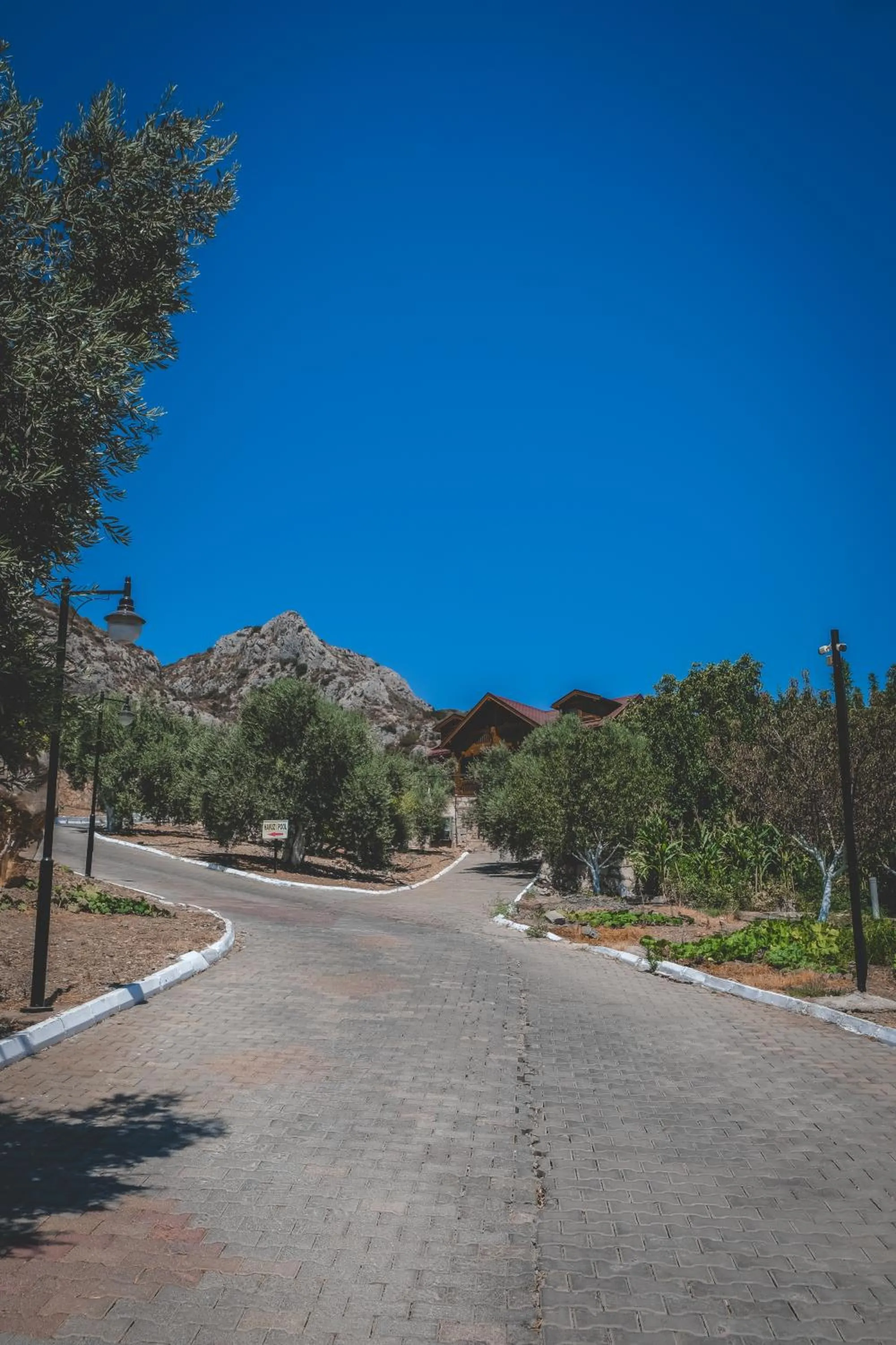 Facade/entrance in Natureland Efes Pension