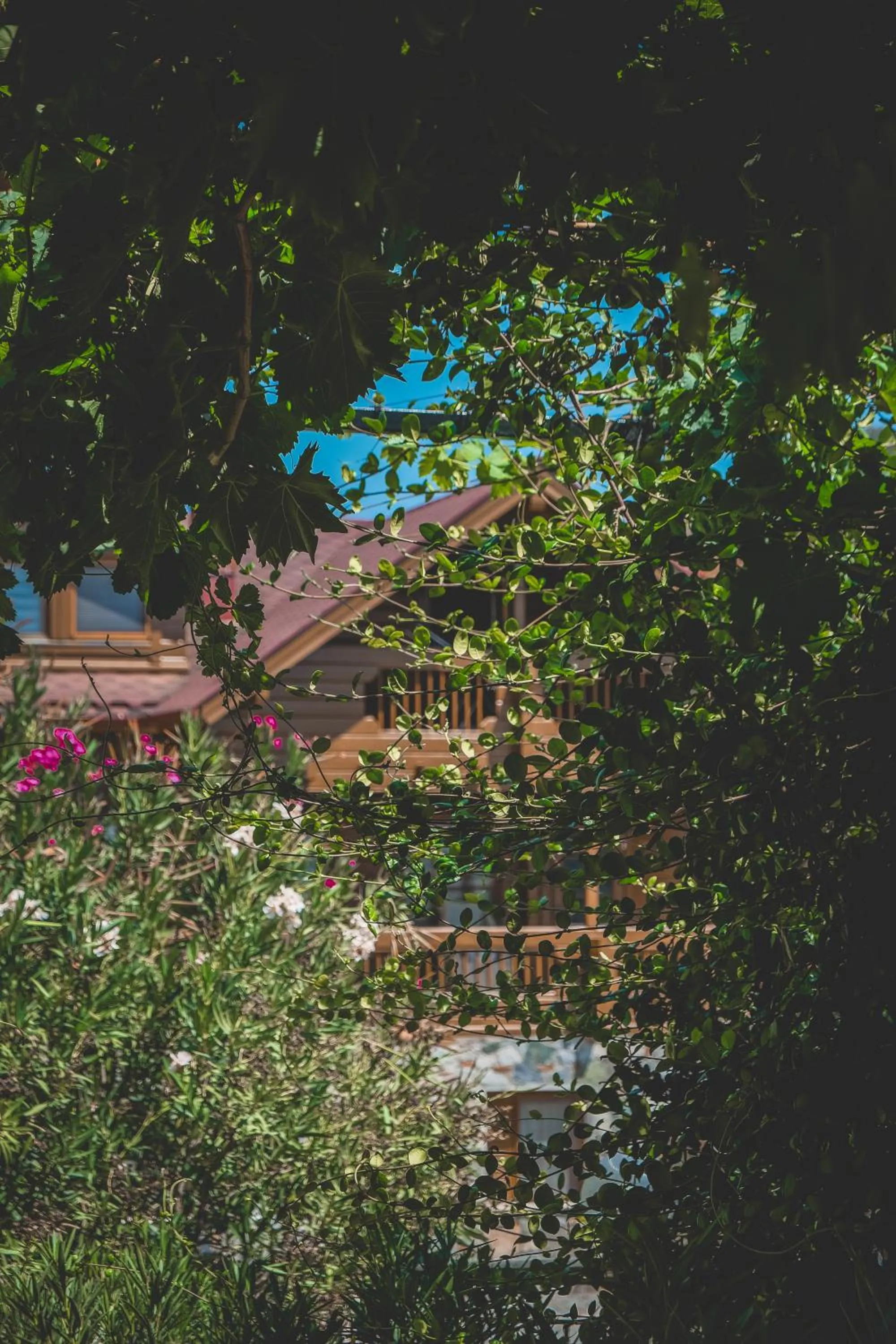 Garden in Natureland Efes Pension