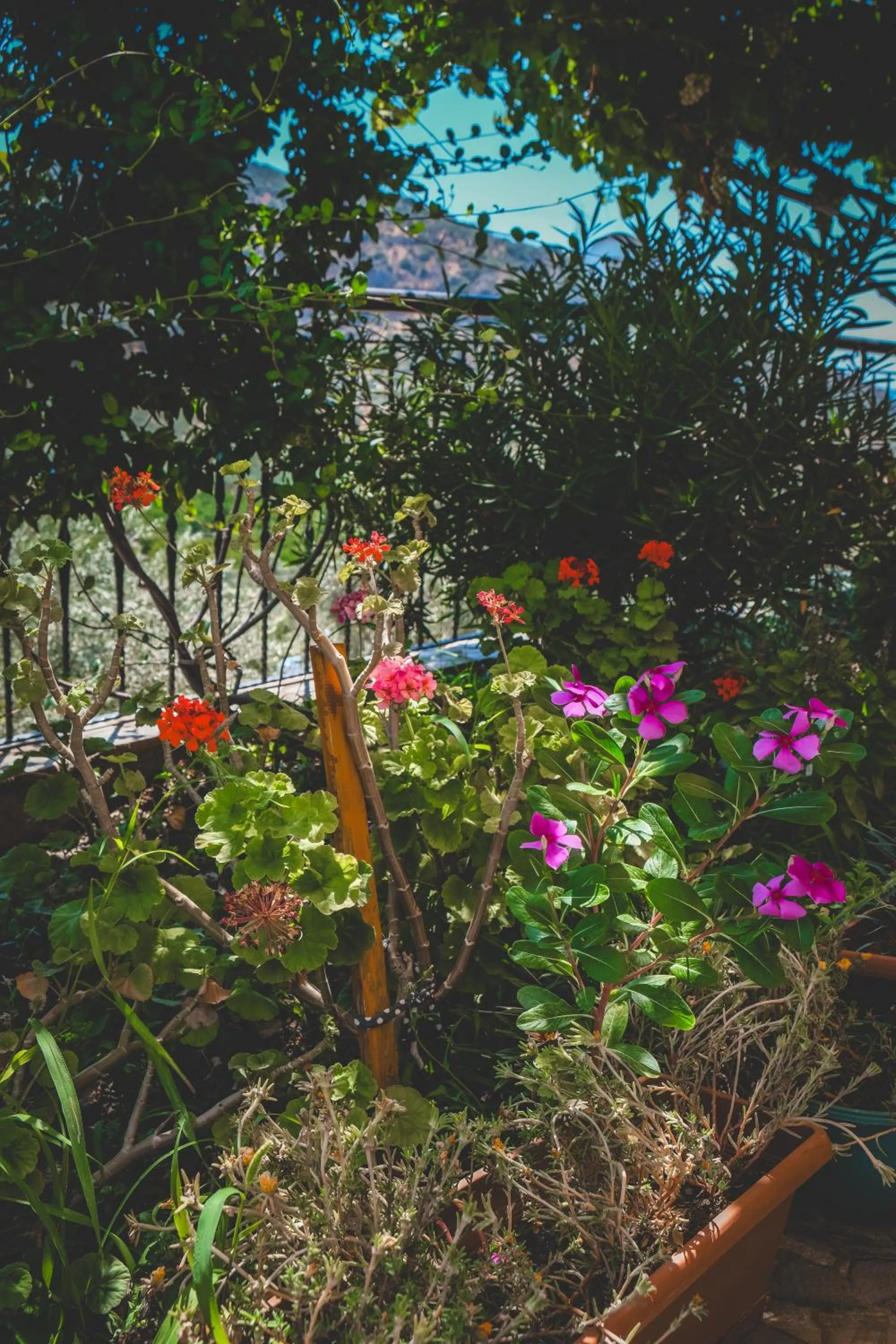 Garden in Natureland Efes Pension