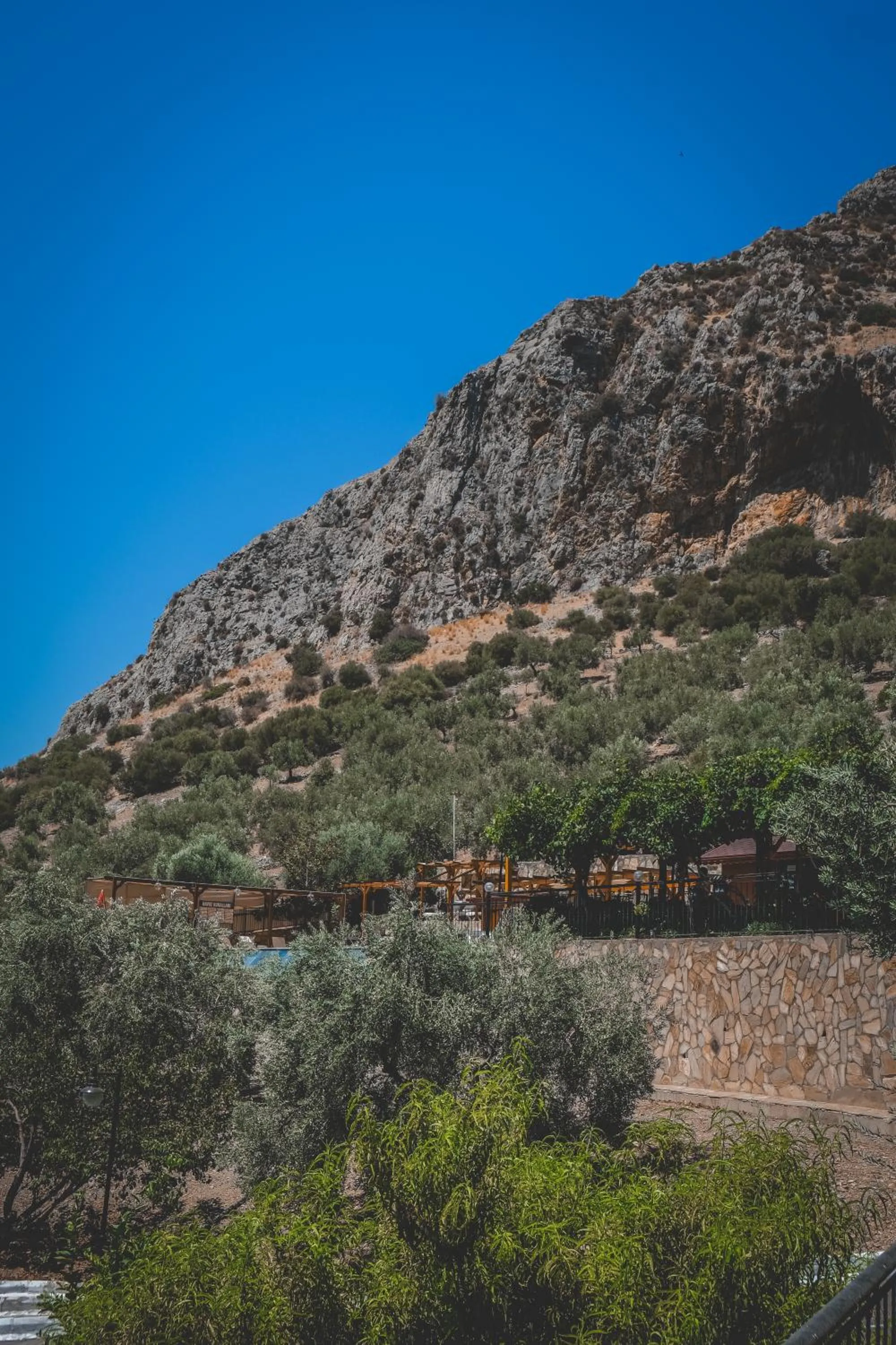 Restaurant/places to eat in Natureland Efes Pension