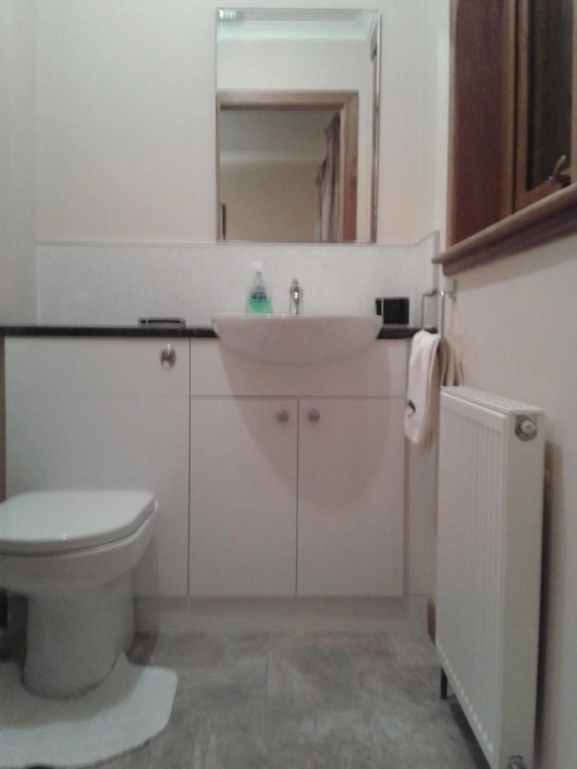 Bathroom in House on the Falls