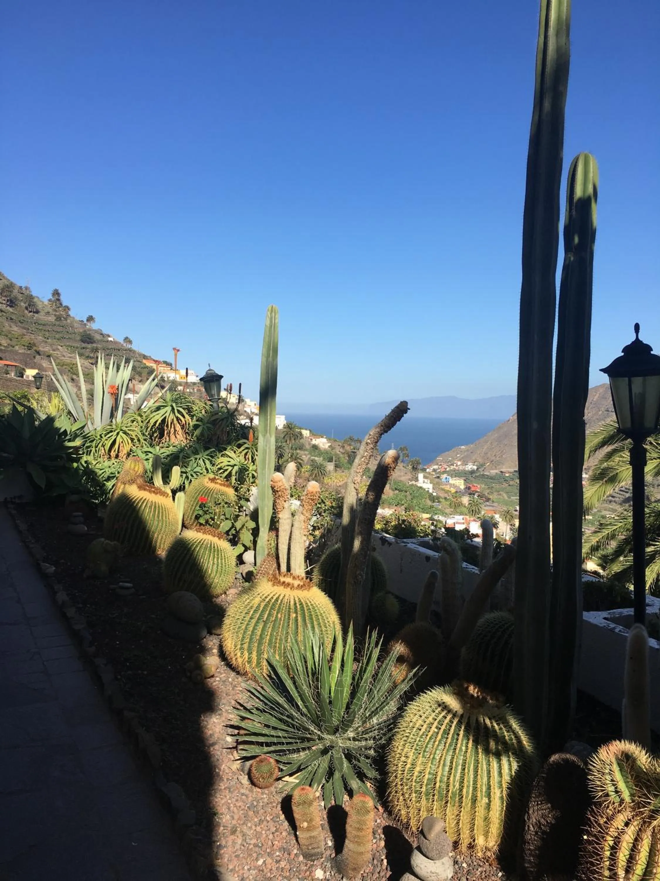 Garden view in Hotel Rural Ibo Alfaro - OFFLINE HOTEL