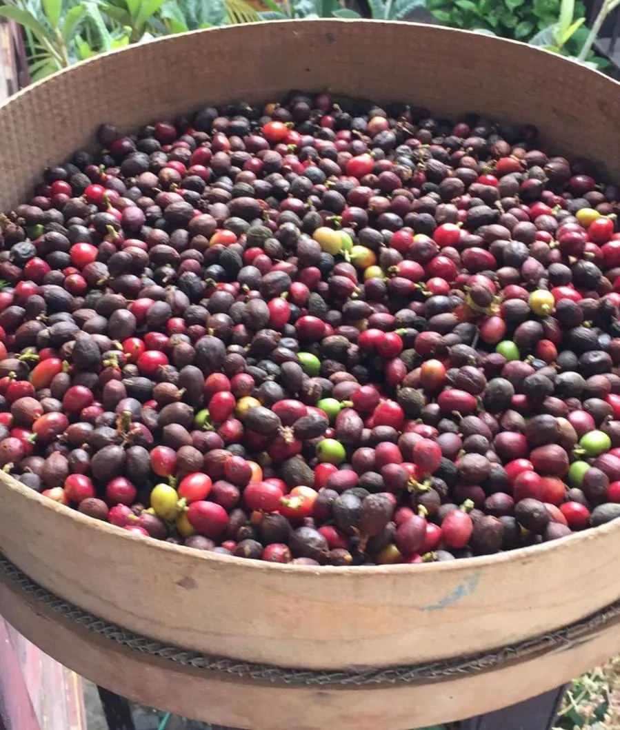 Breakfast in Hotel Rural Ibo Alfaro - OFFLINE HOTEL