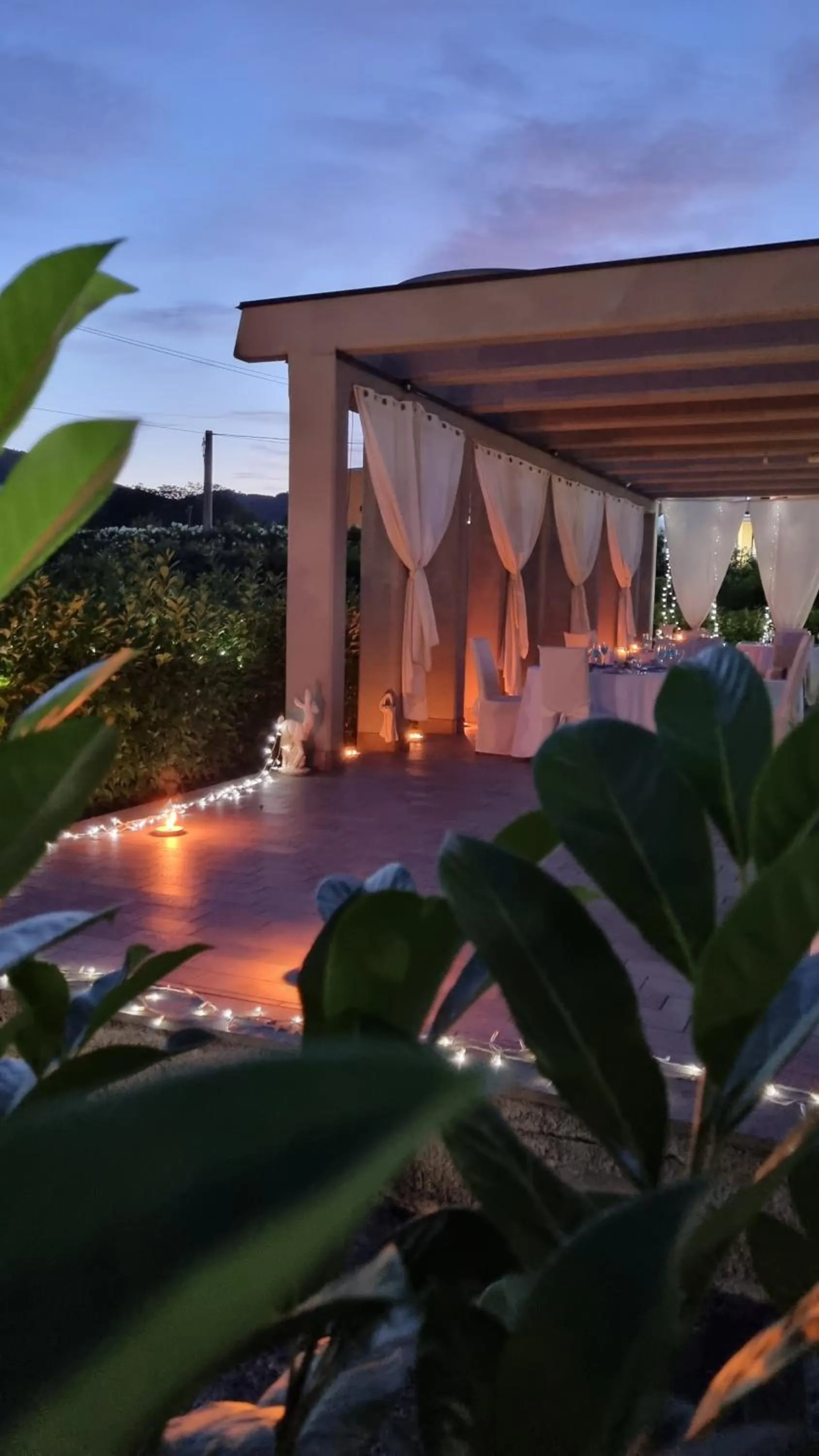 Garden view in Hotel Insteia