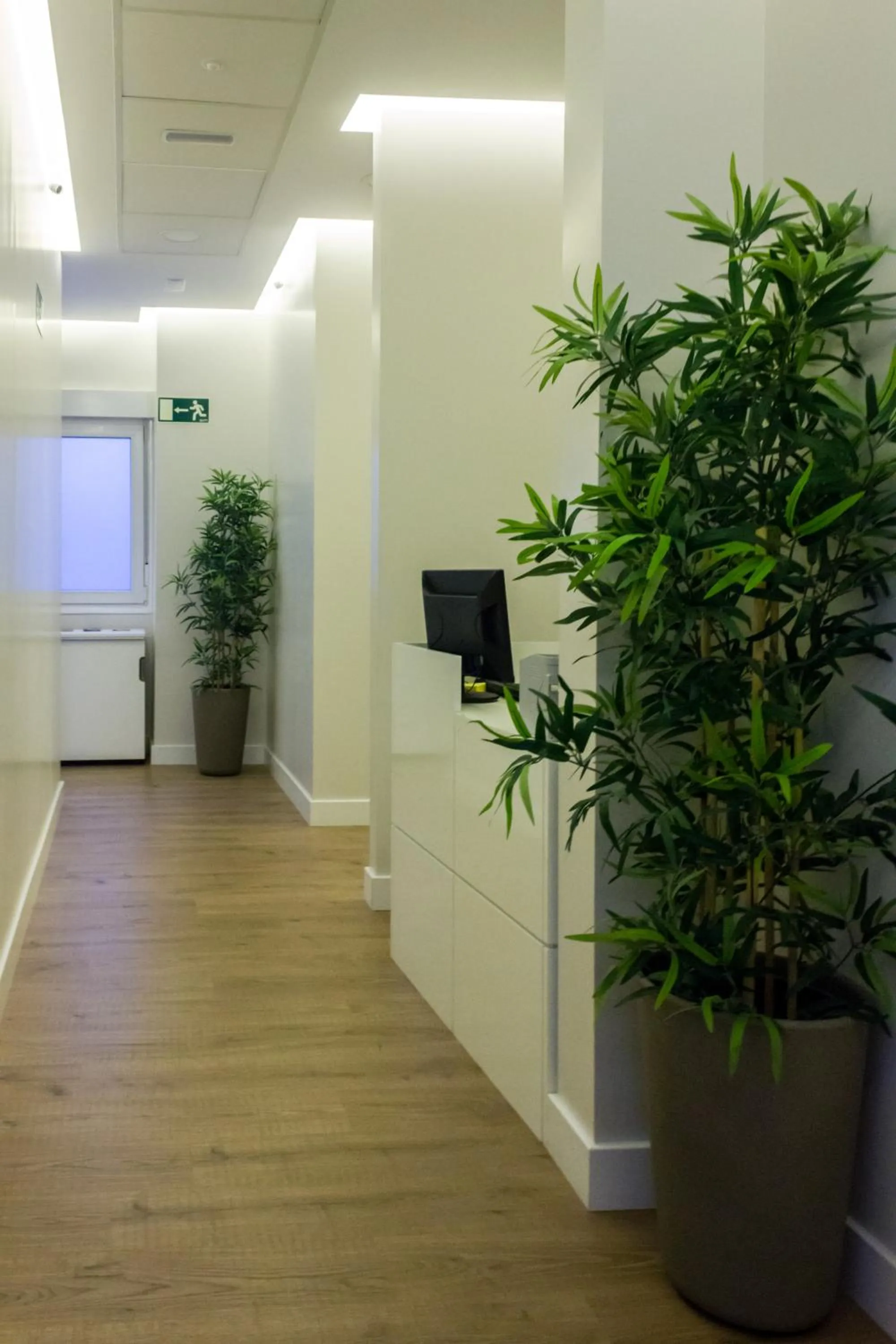 Property building in Arenal Suites Gran Vía